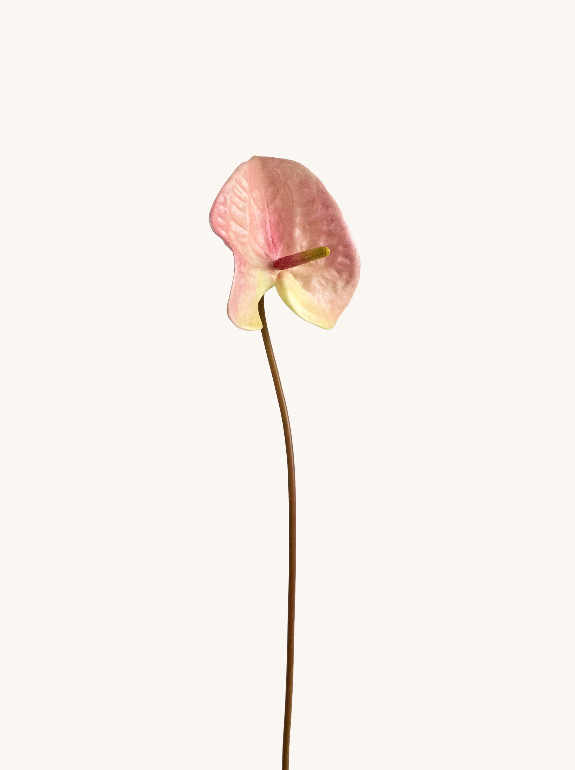 Pink Artificial Tropical Anthurium - 23"