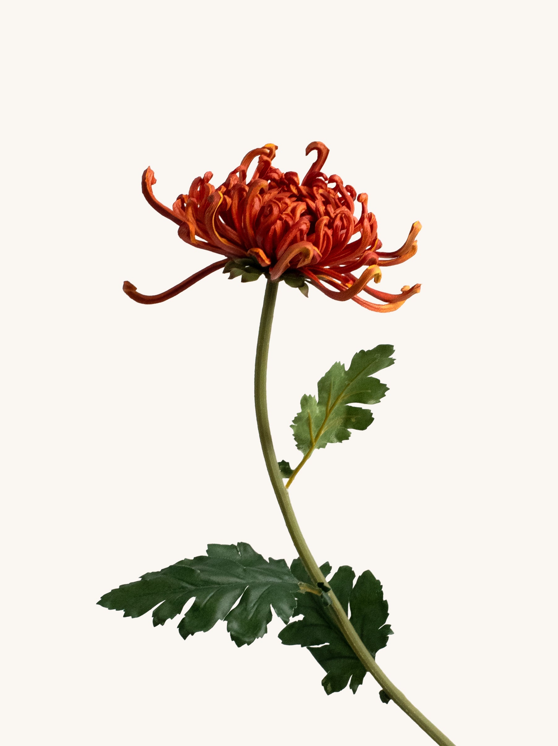 Orange Artificial Royal Chrysanthemum - 27"