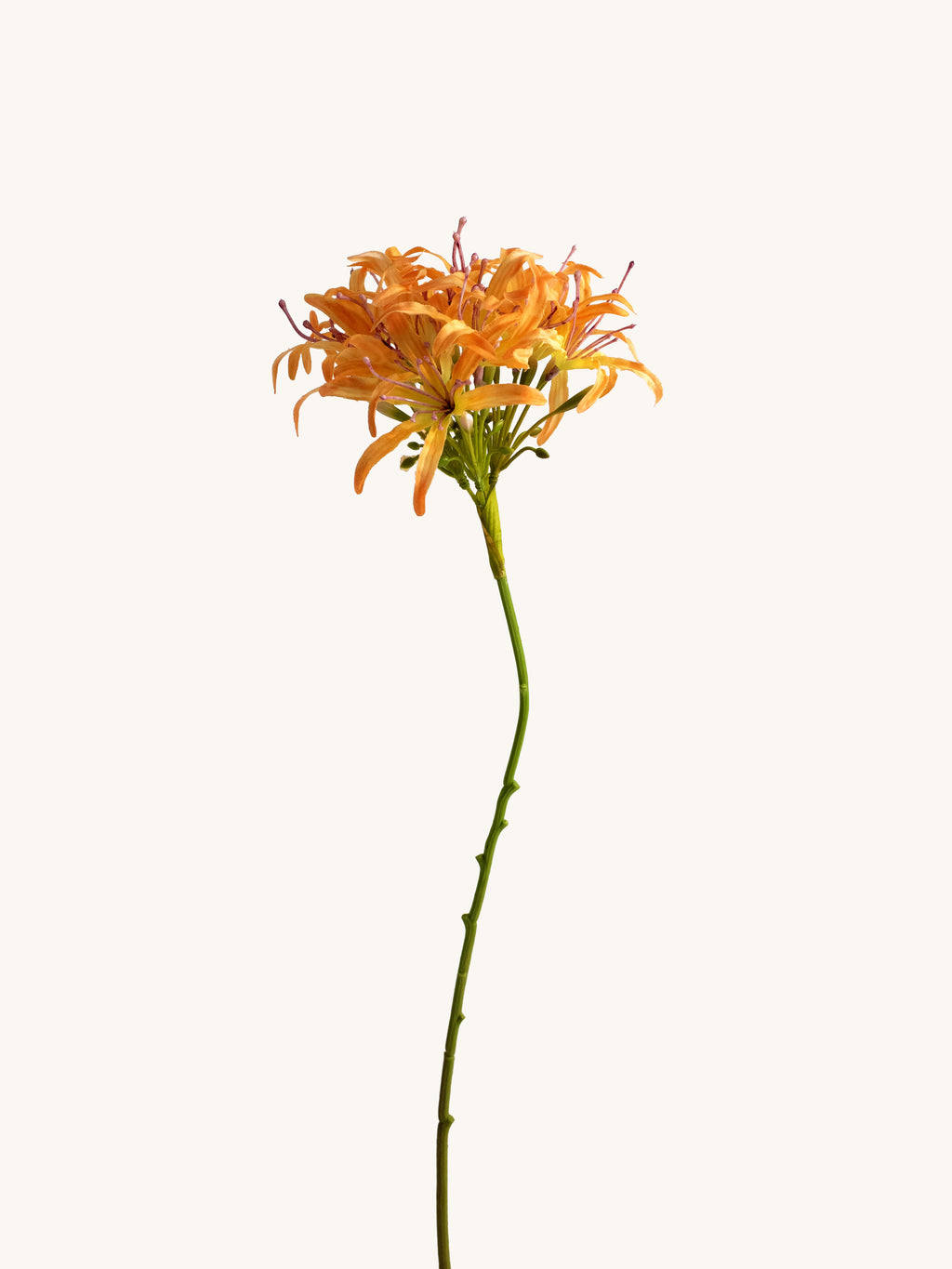 Orange Faux Spider Lily - 31"