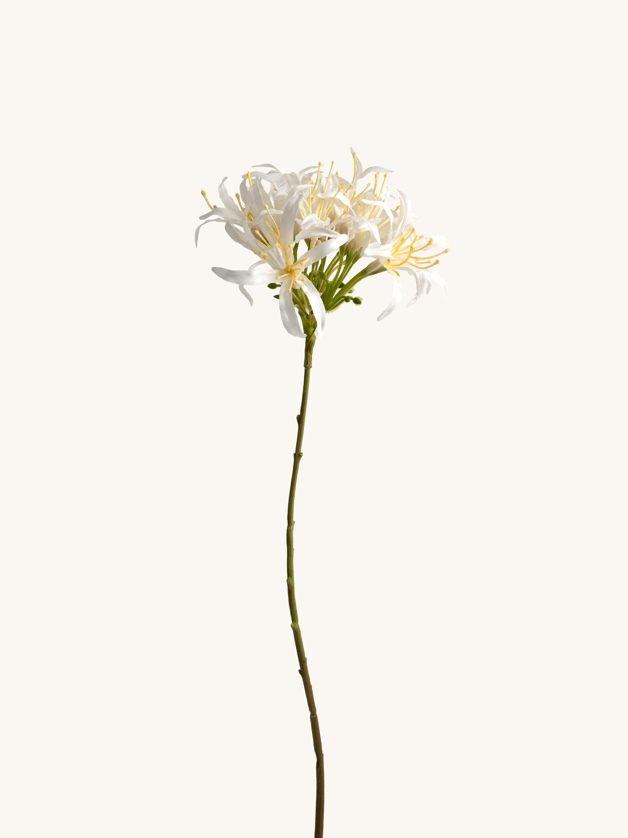 White Faux Spider Lily - 31"