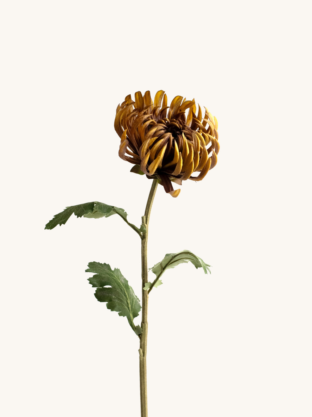 Brown Artificial Chrysanthemum - 23.5"