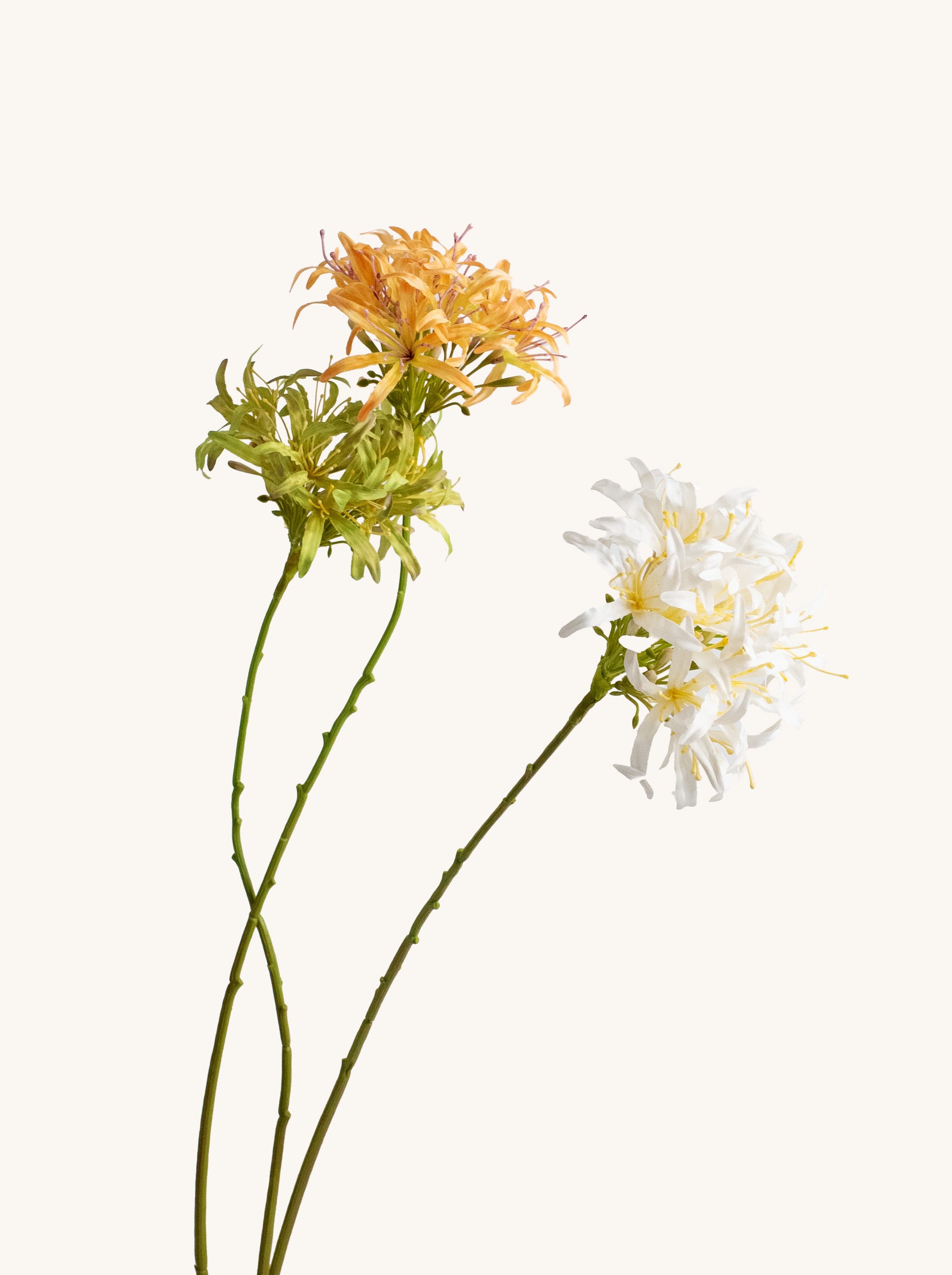 Yellow-Green Faux Spider Lily - 31"