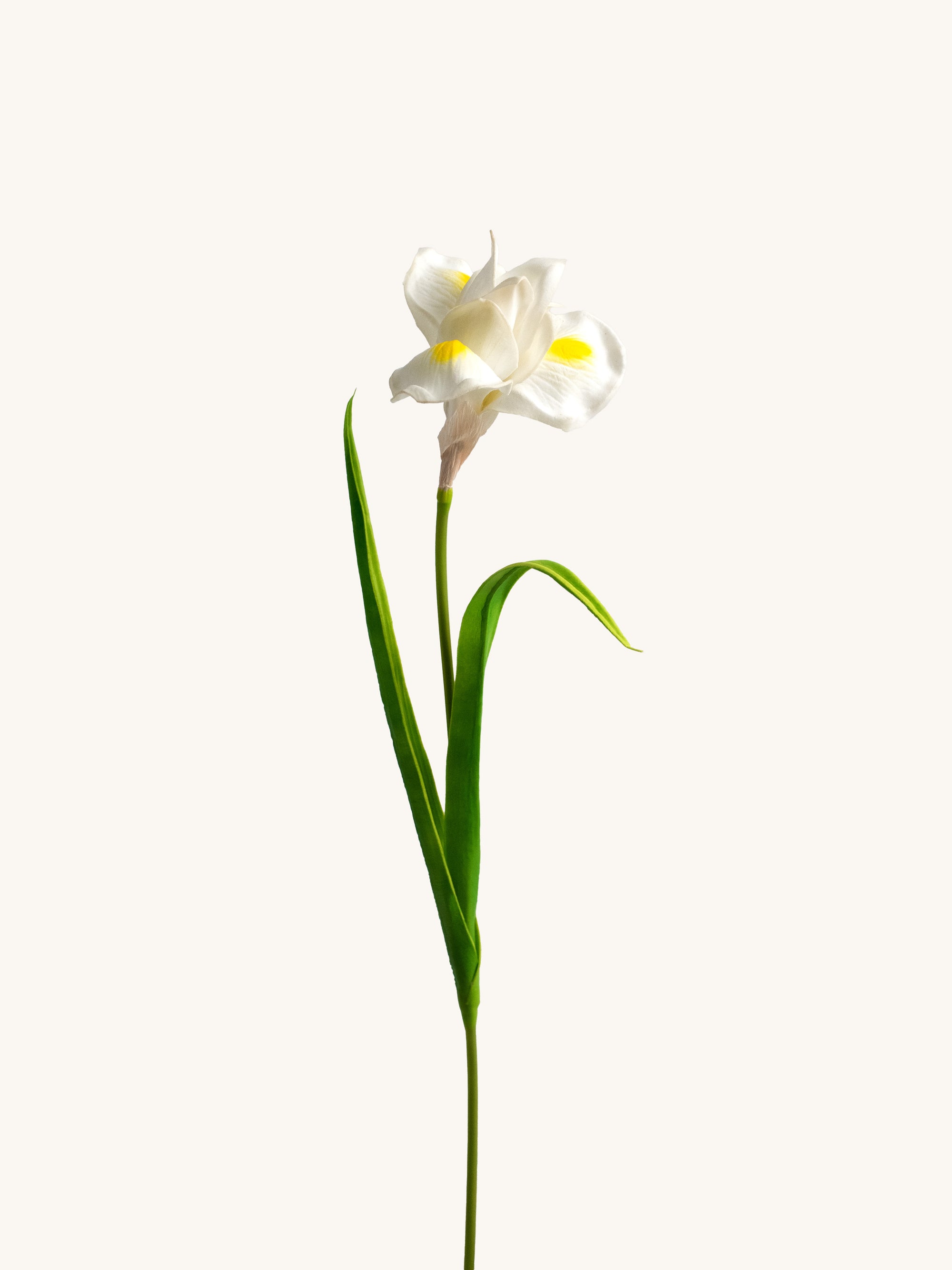 White Artificial Iris Flower - 22"
