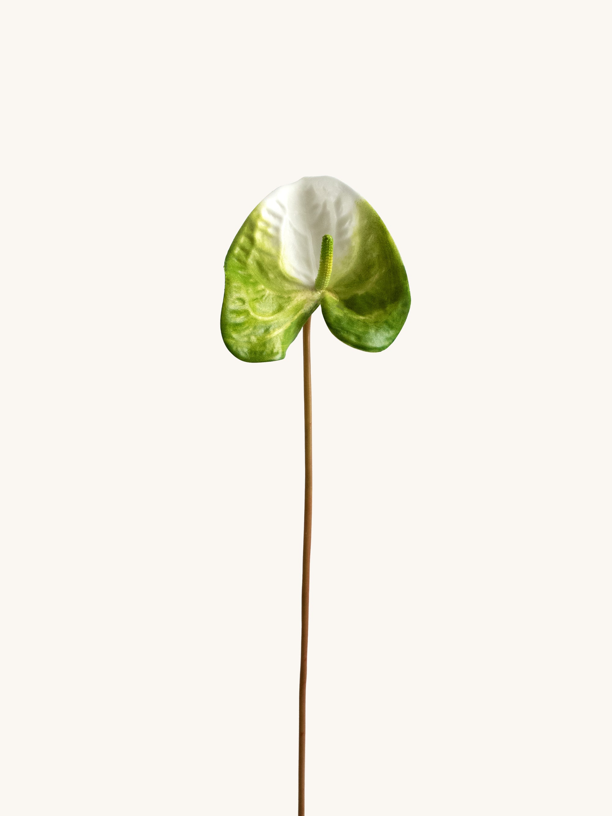 White & Deep Green Artificial Tropical Anthurium - 23"