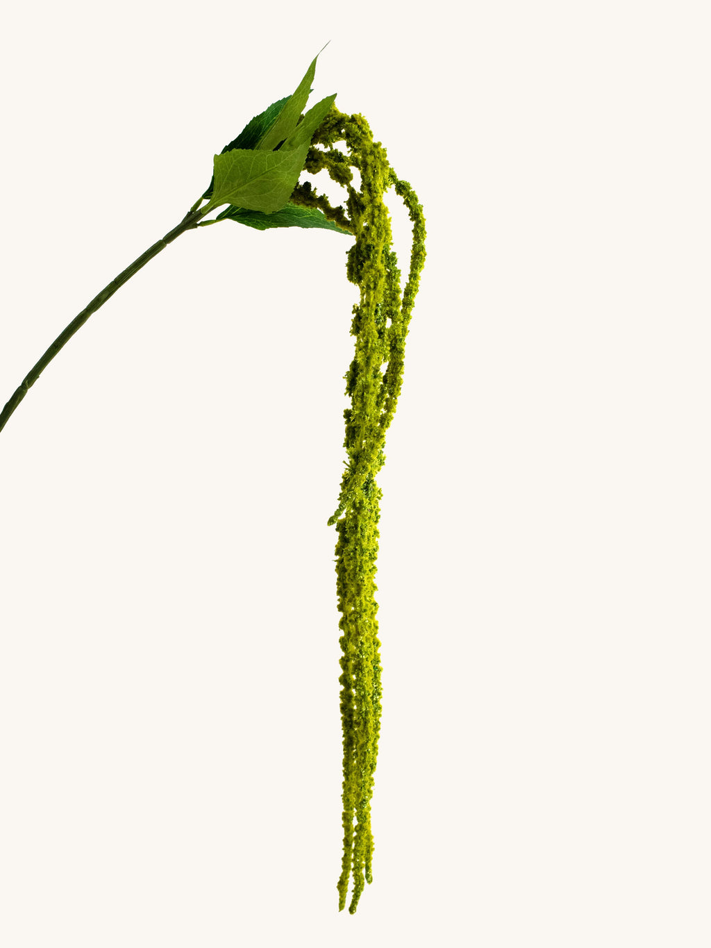 Artificial Hanging Amaranthus in Green - 47.5"