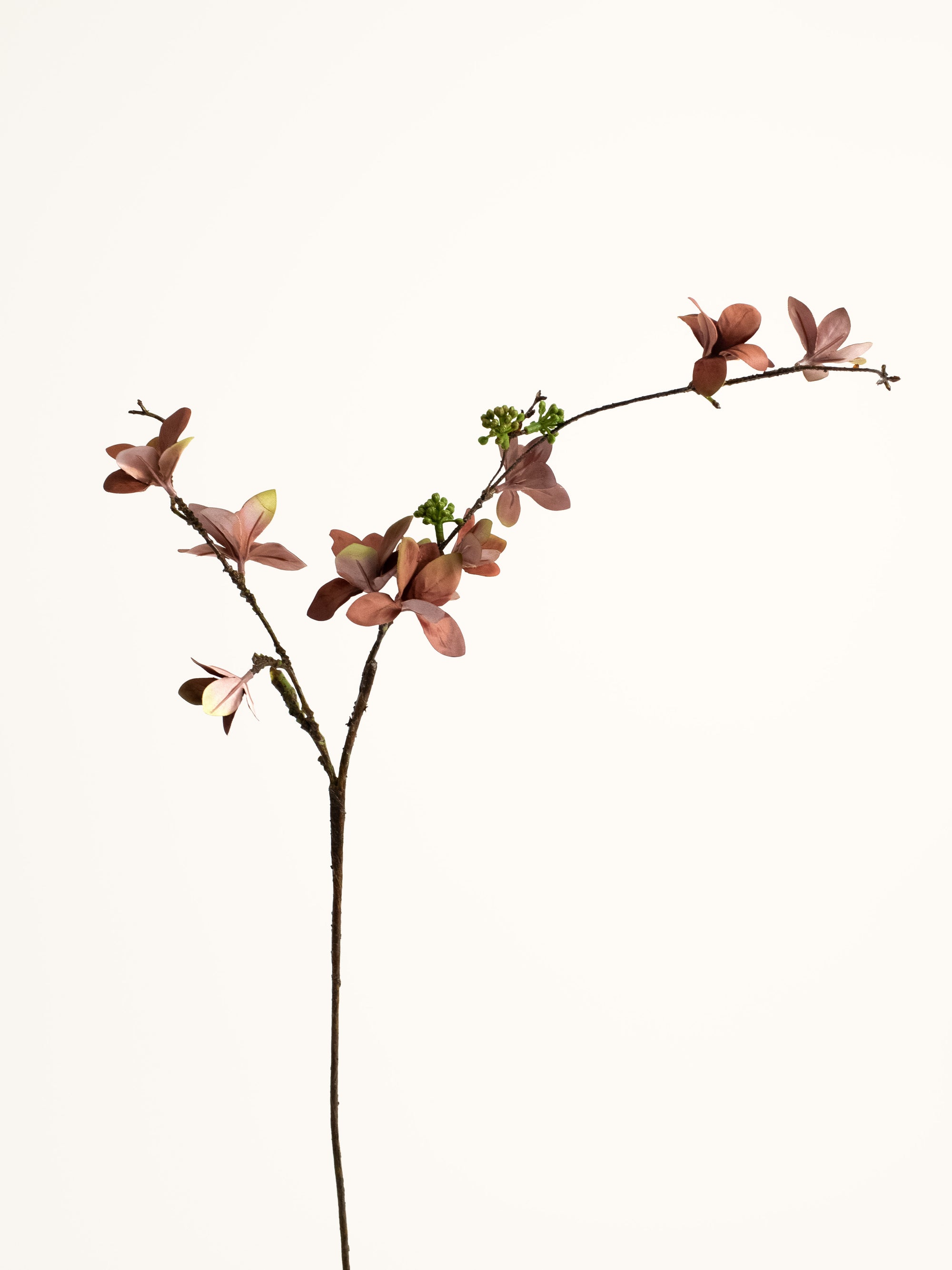 Brown Faux Japanese Fuchsia Leaves - 30.5"