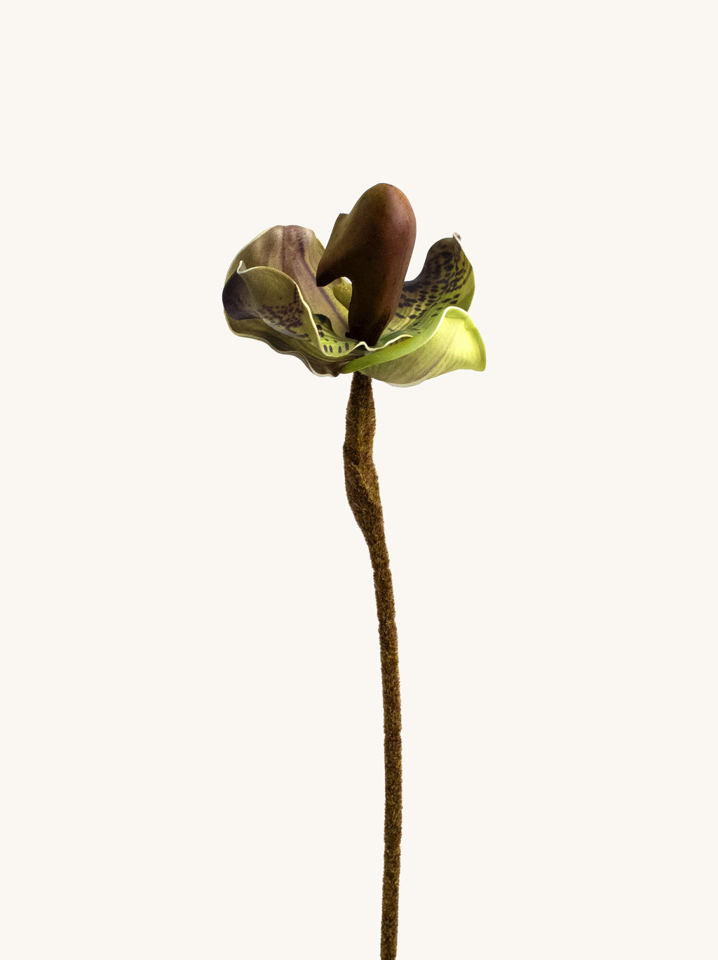 Faux Green Butterfly Lady’s Slipper Orchid - 19.5“