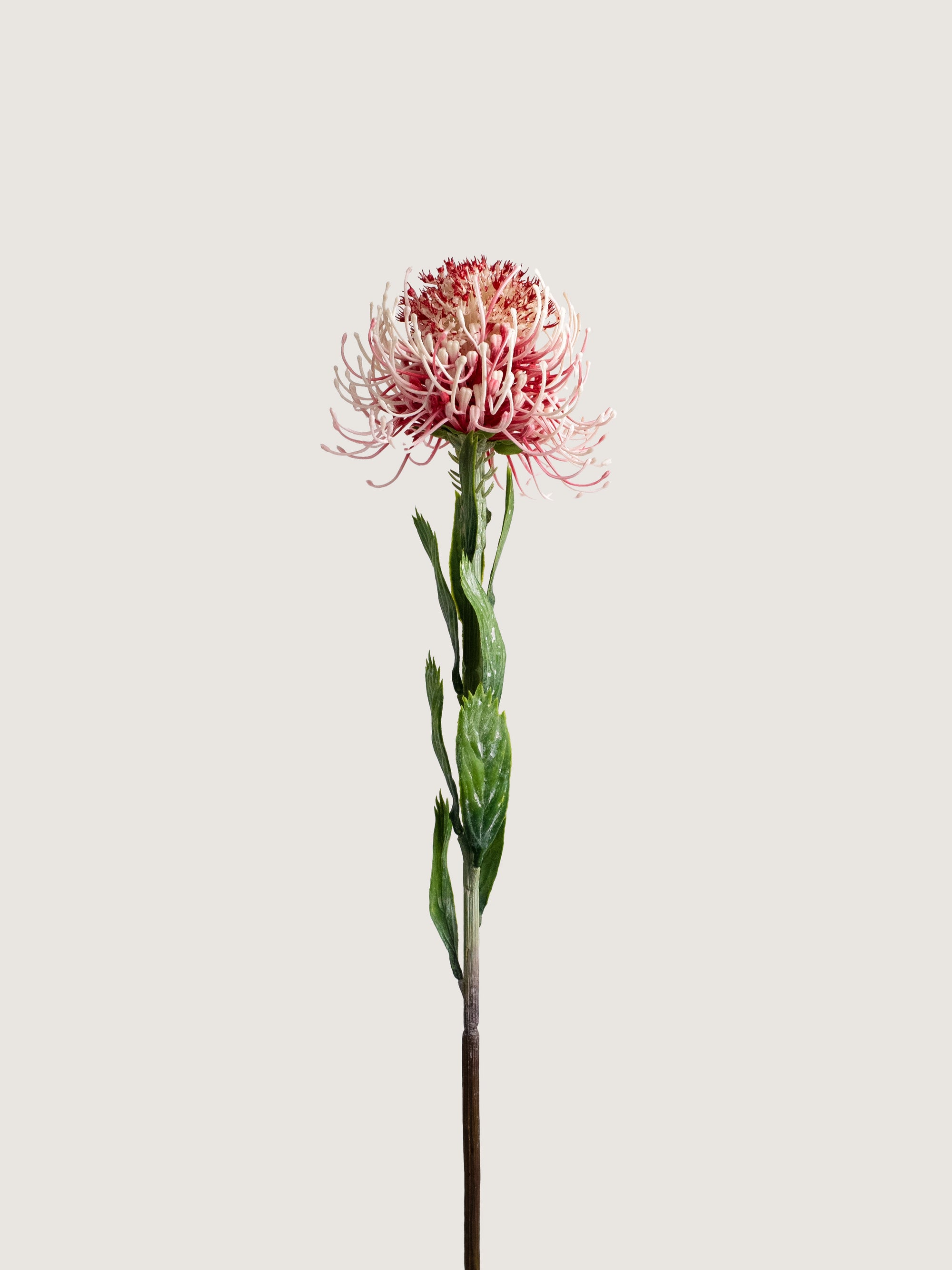 Red & White Faux Sunburst Pincushion Needle Flower - 23.5"