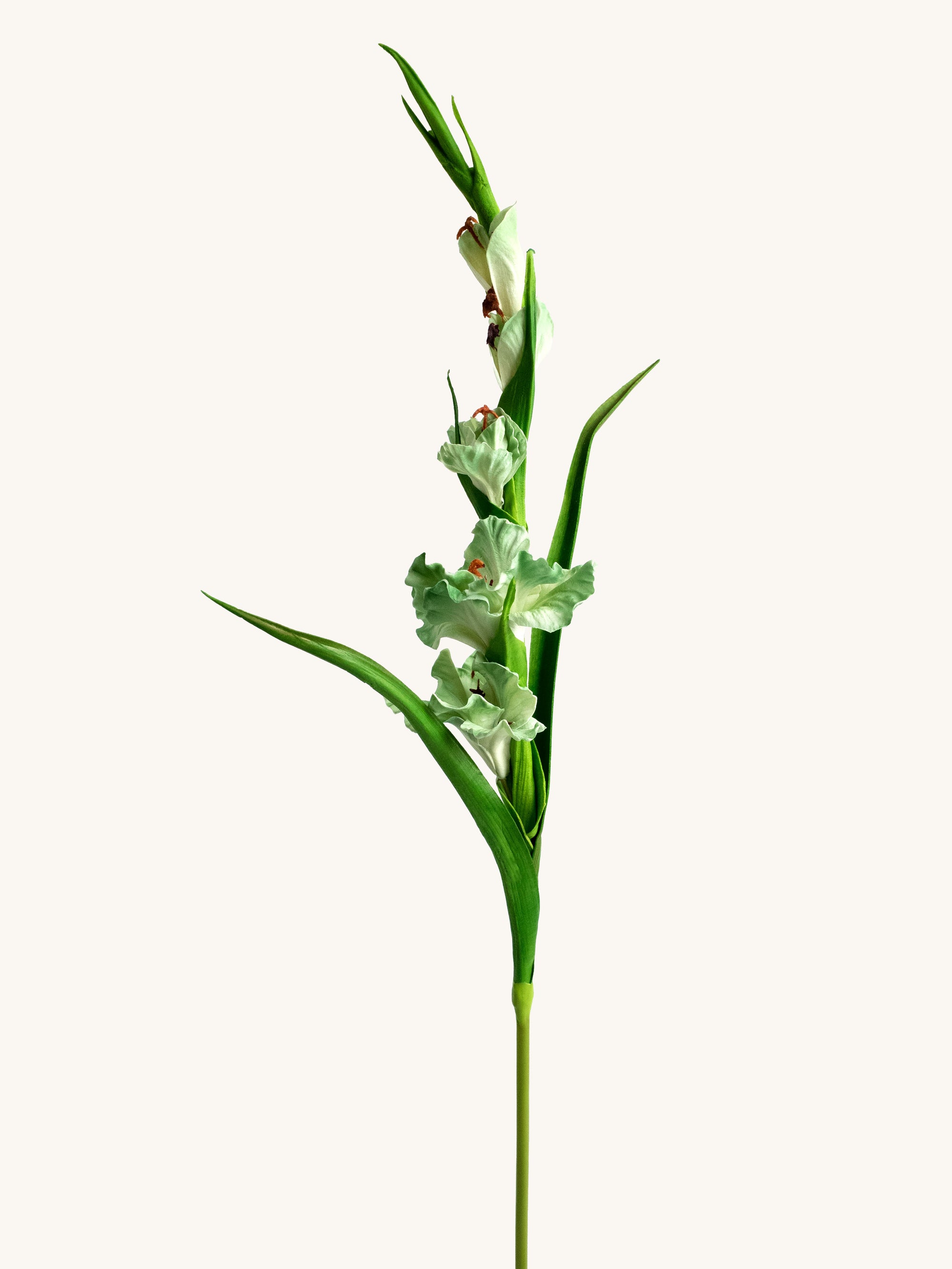 Green Artificial Real Touch Gladiolus Sword Lily - 32"