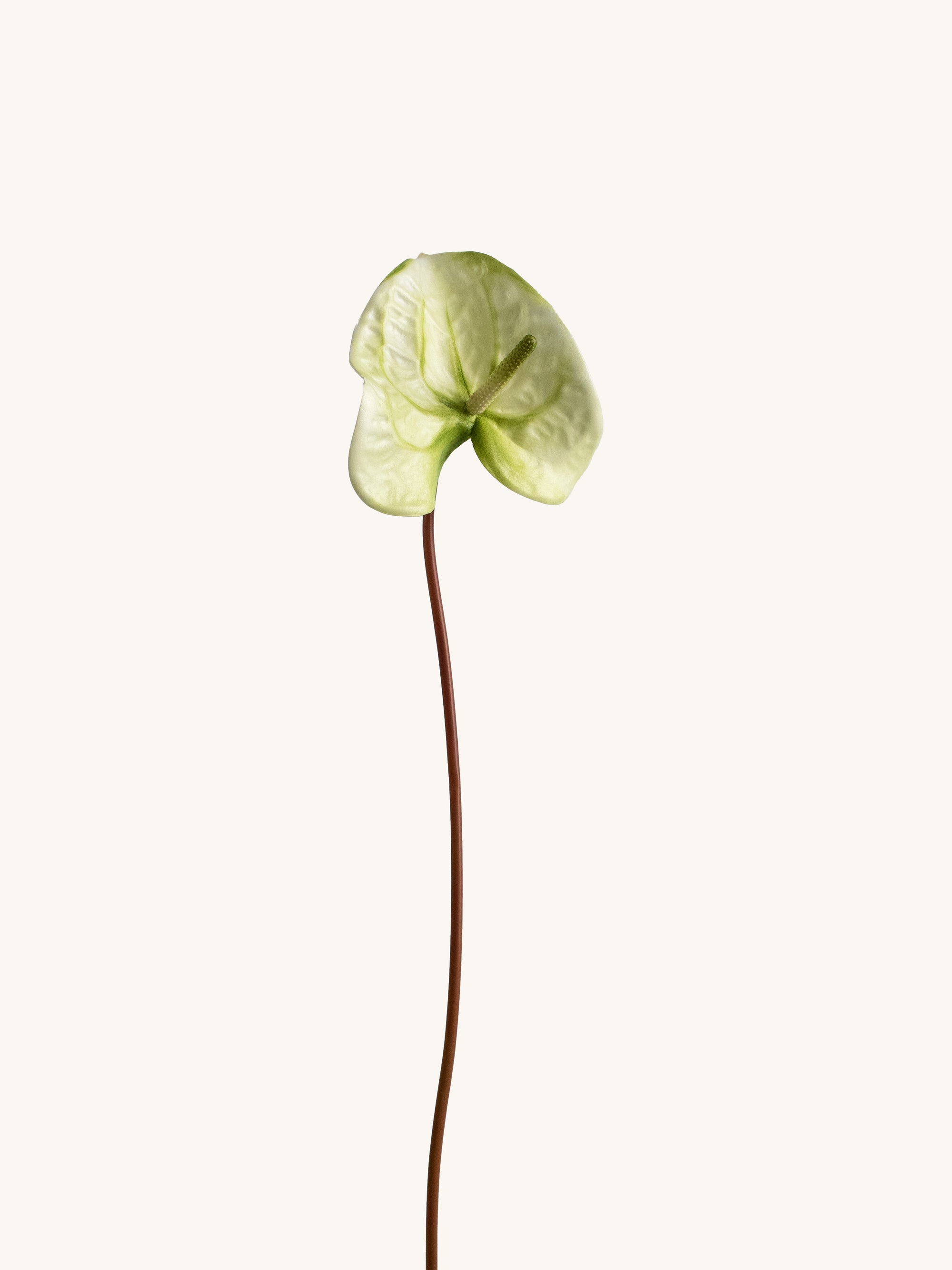 Light Green Artificial Tropical Anthurium - 23"