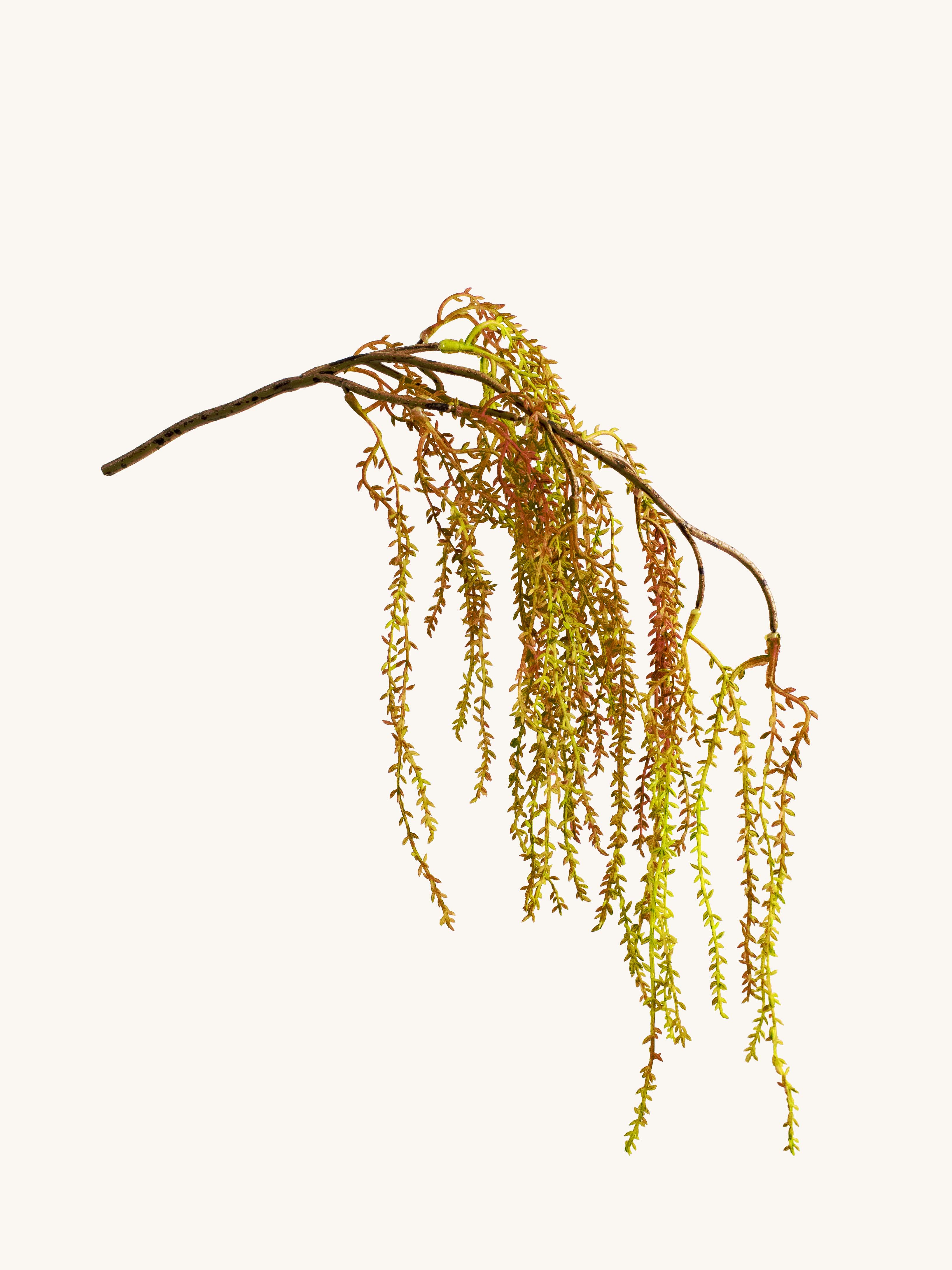 Yellow-Green Artificial Amaranthus - 26"