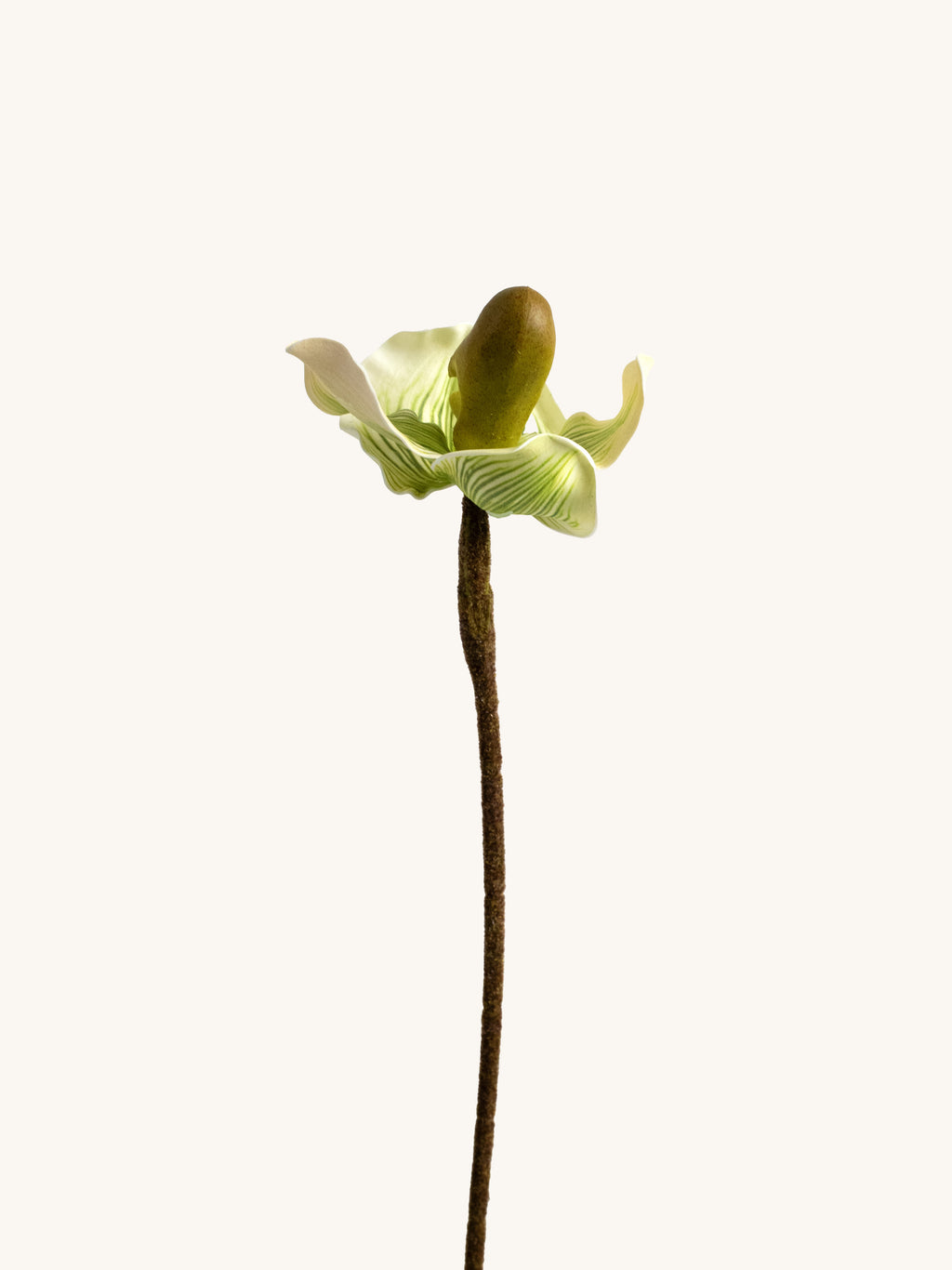 Green Faux Lady's Slipper Orchid - 19.5"