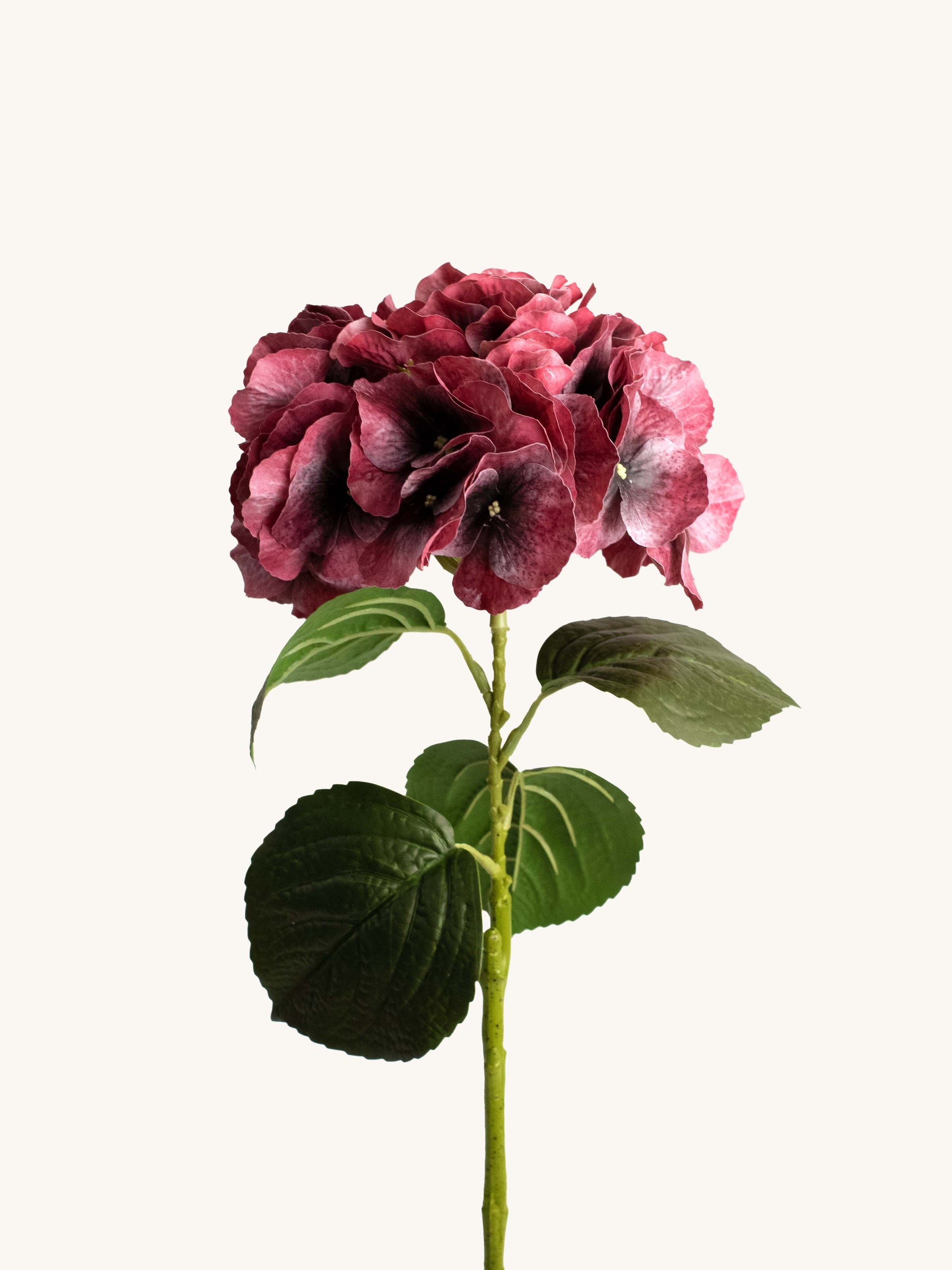 Burgundy Real-Touch Faux Hydrangea Flower - 23.5"