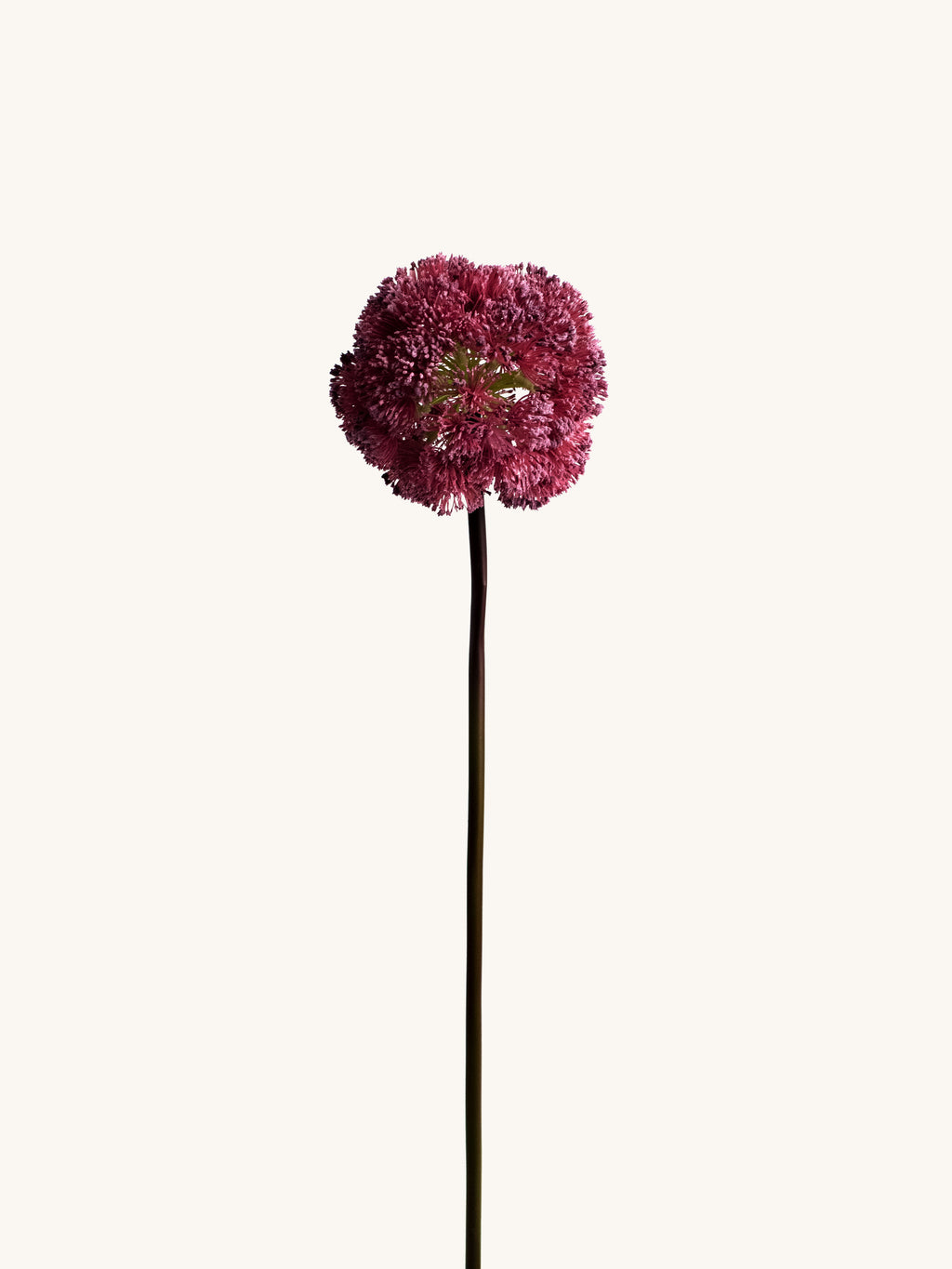 Burgundy Artificial Allium Ball