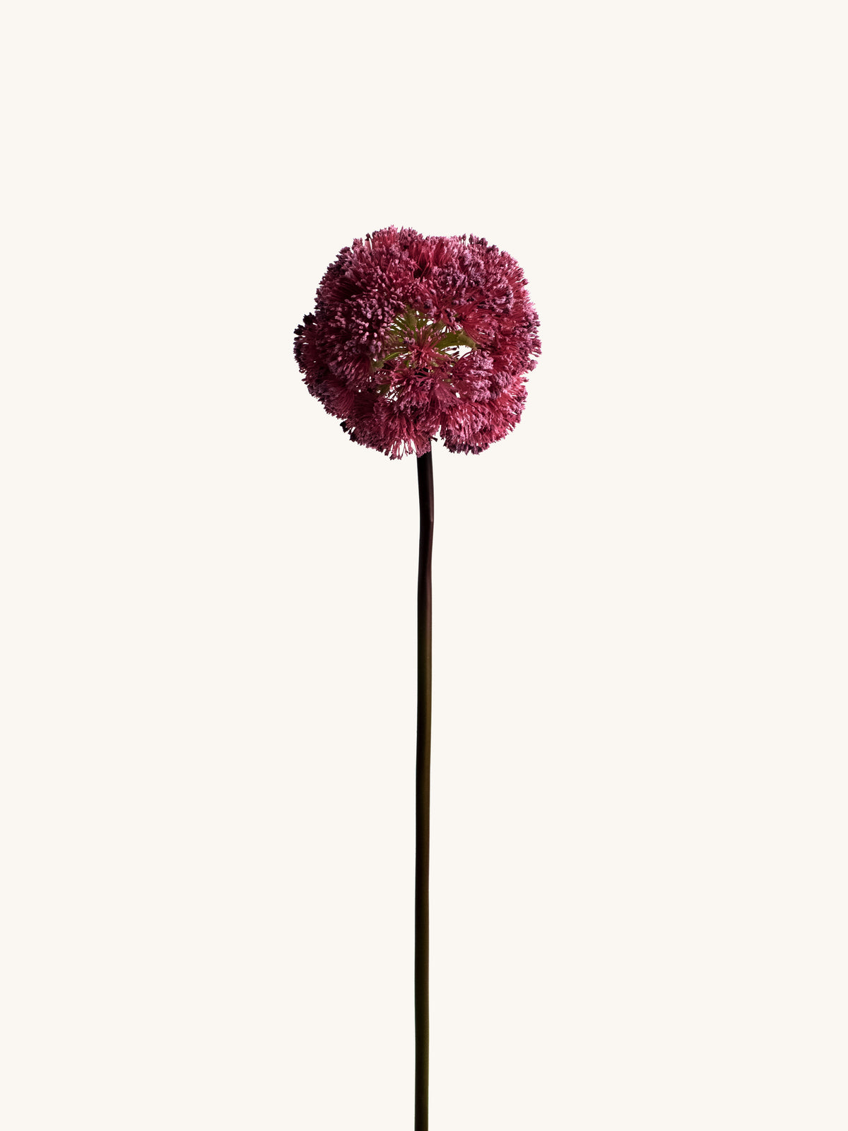 Burgundy Artificial Allium Ball
