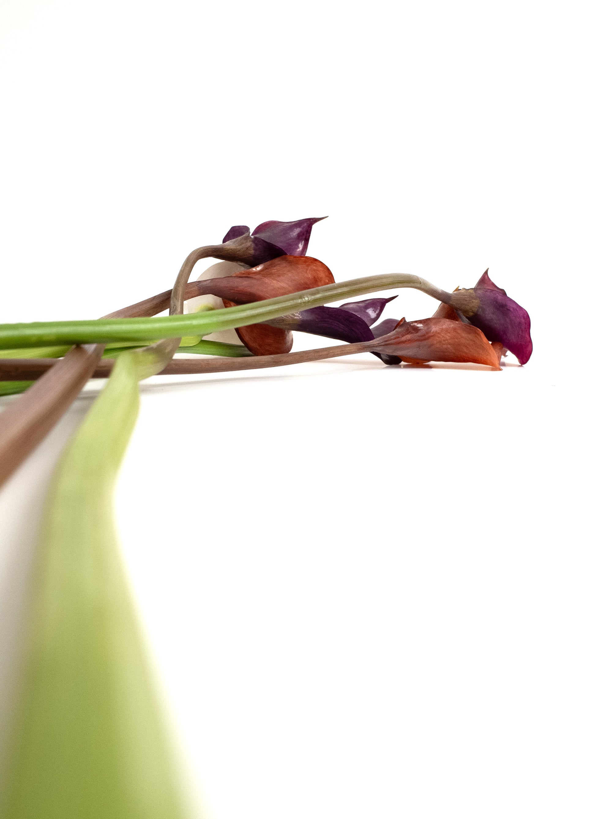 Black Purple Artificial Calla Lily - 26.5"