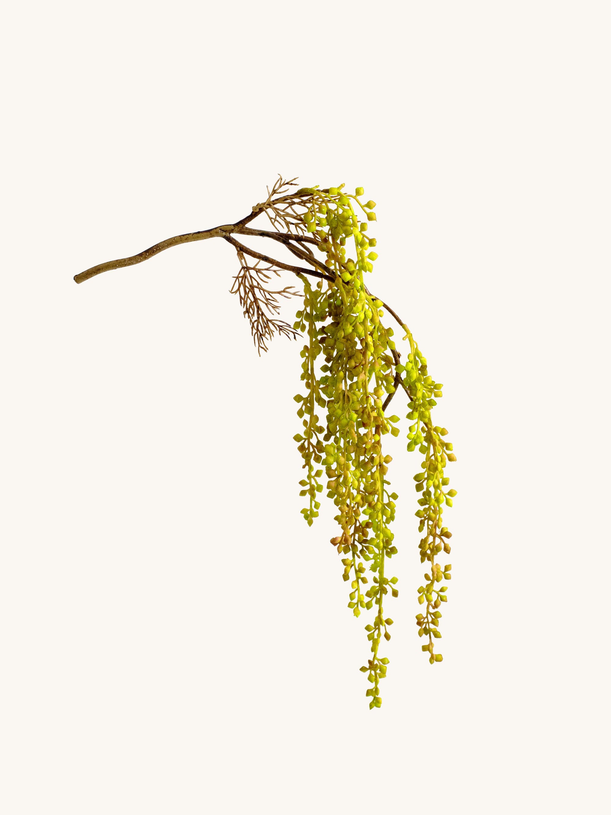 Yellow-Green Artificial Love Pea Pod Branch - 23"