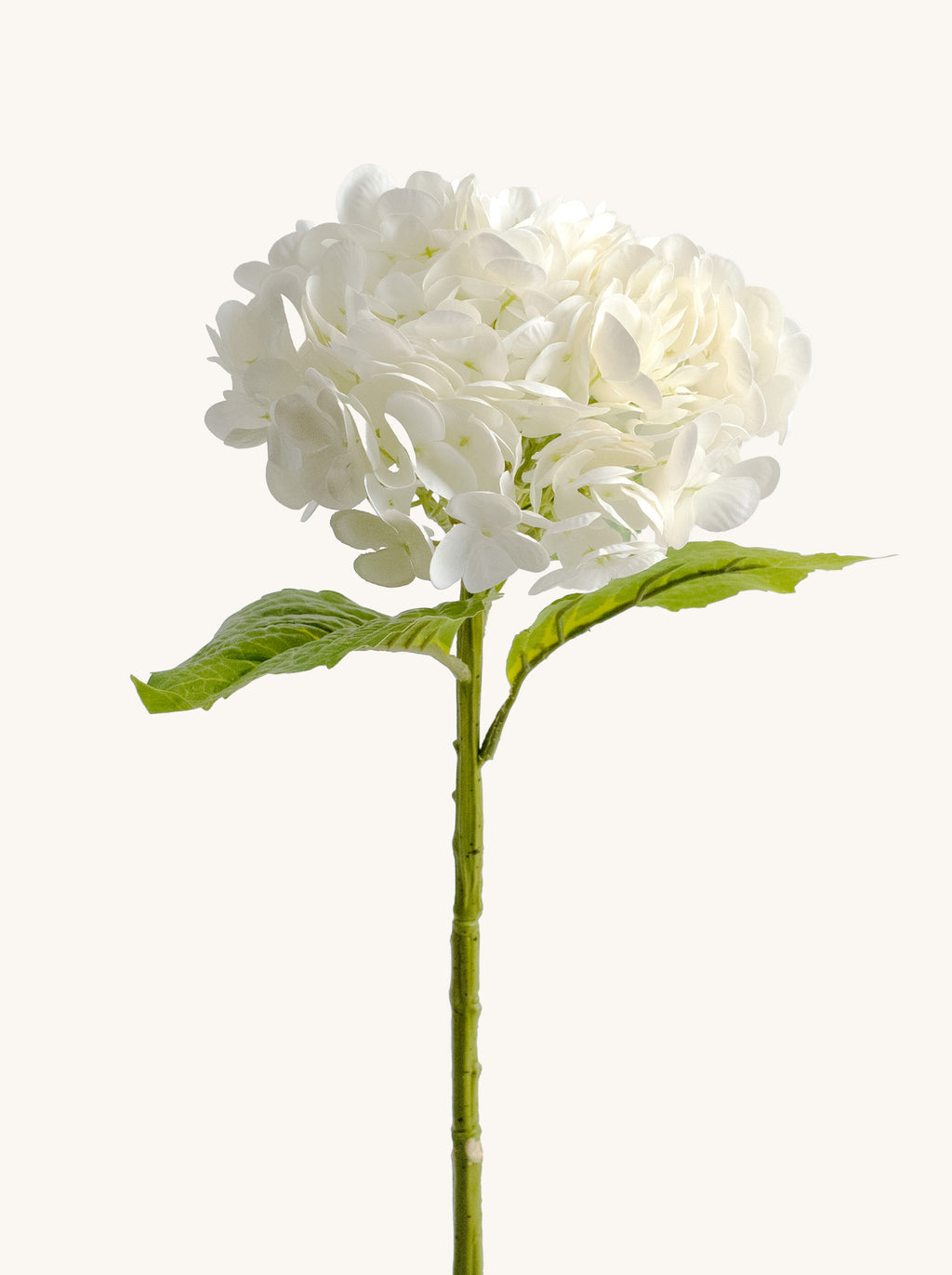 White Real-Touch Faux Hydrangea Flower - 19"
