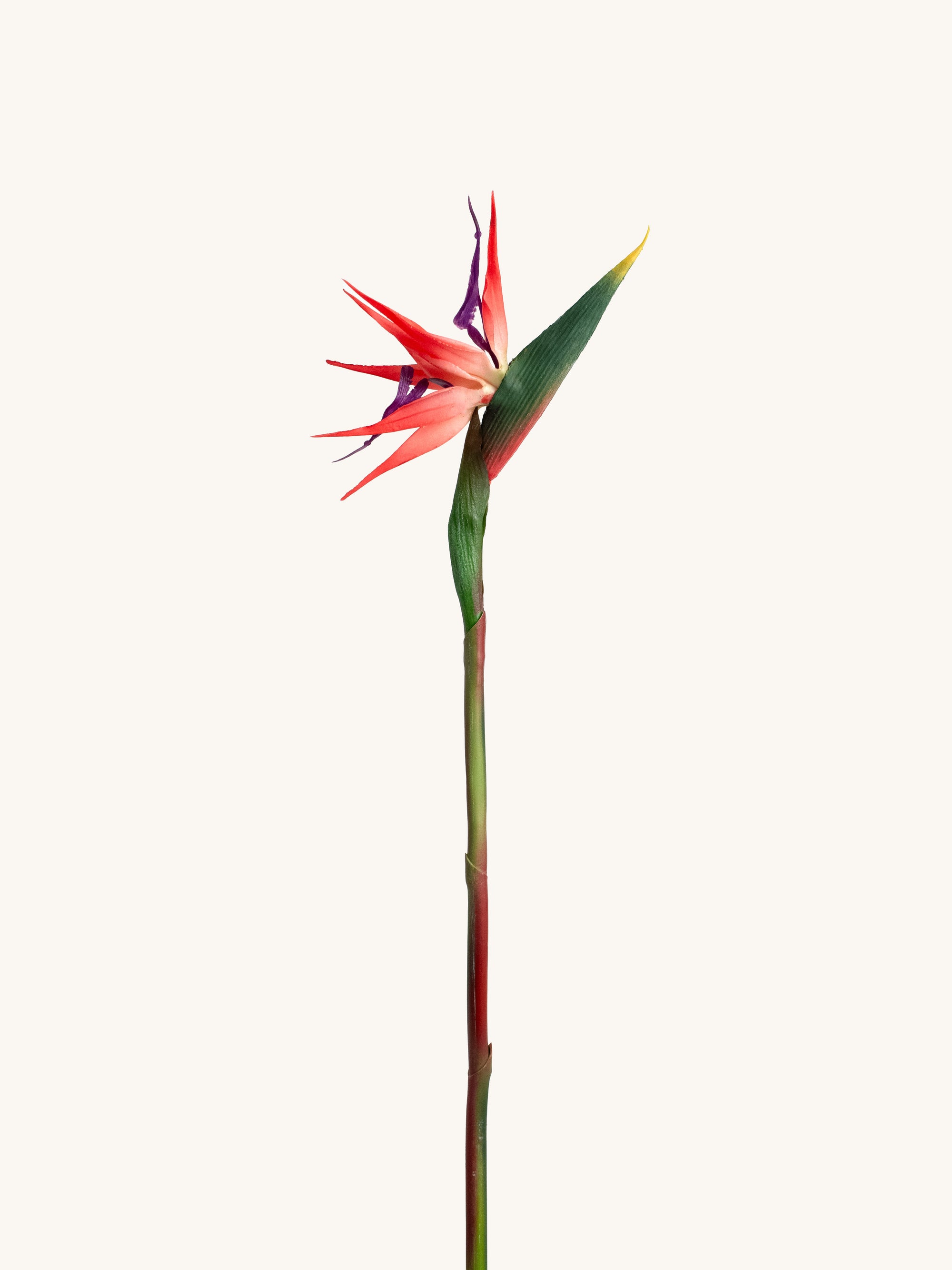 Red Artificial Bird of Paradise - 25"