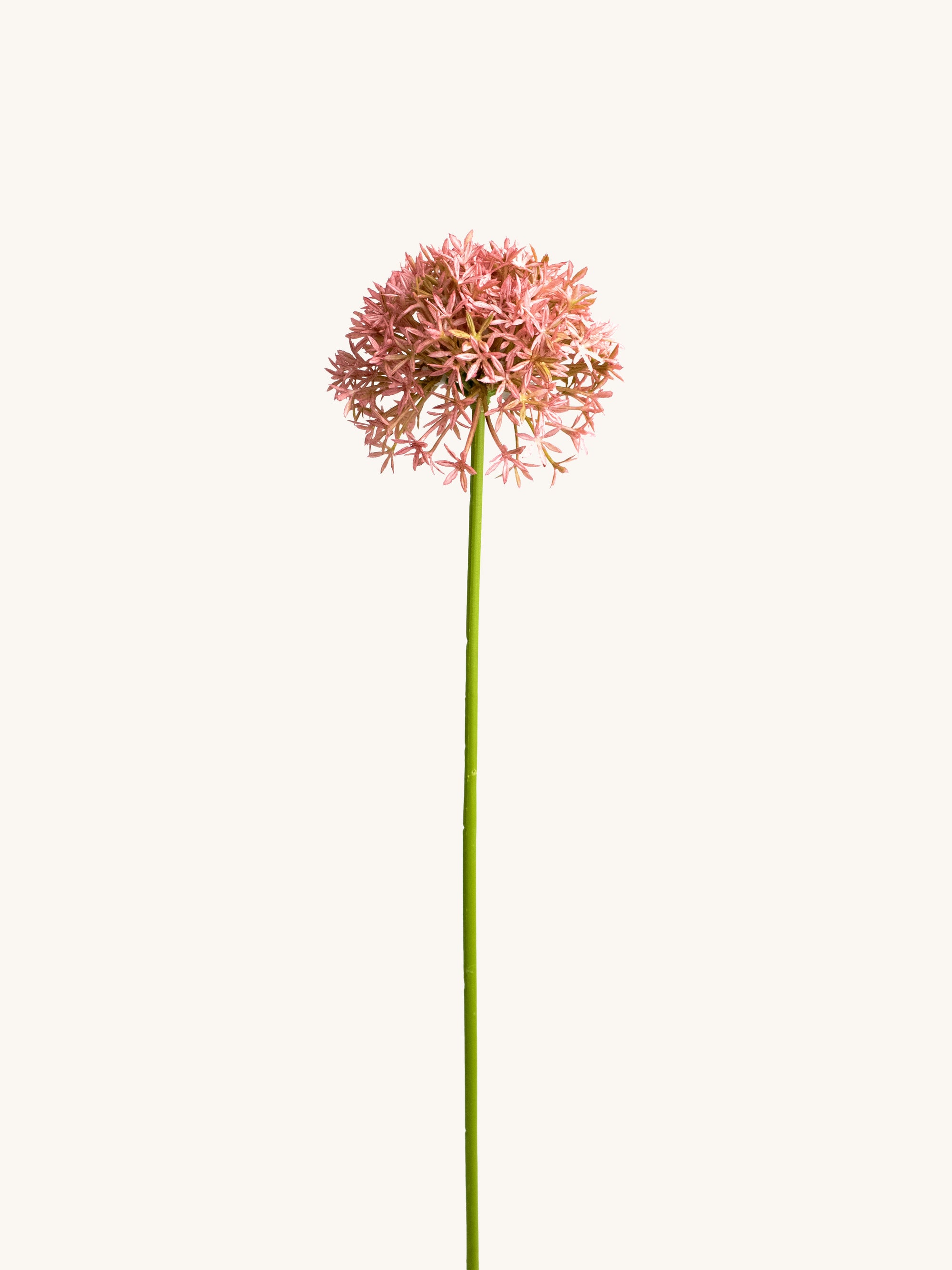 Pink Artificial Allium Wildflower - 24.5"