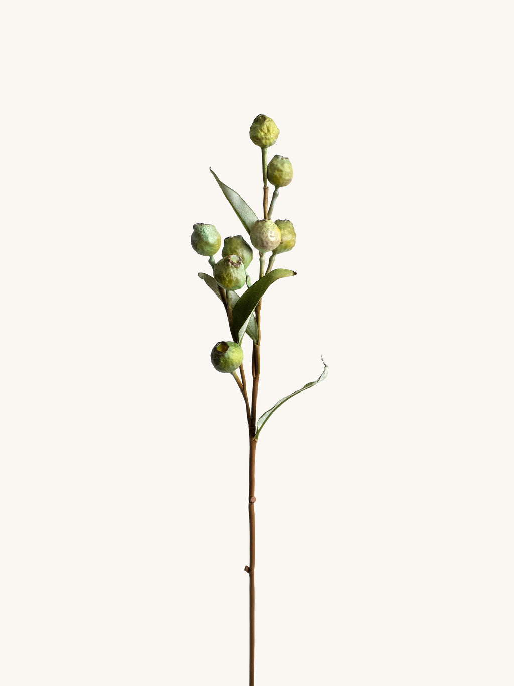 Yellow-Green Faux Eucalyptus Pods - 23.5"