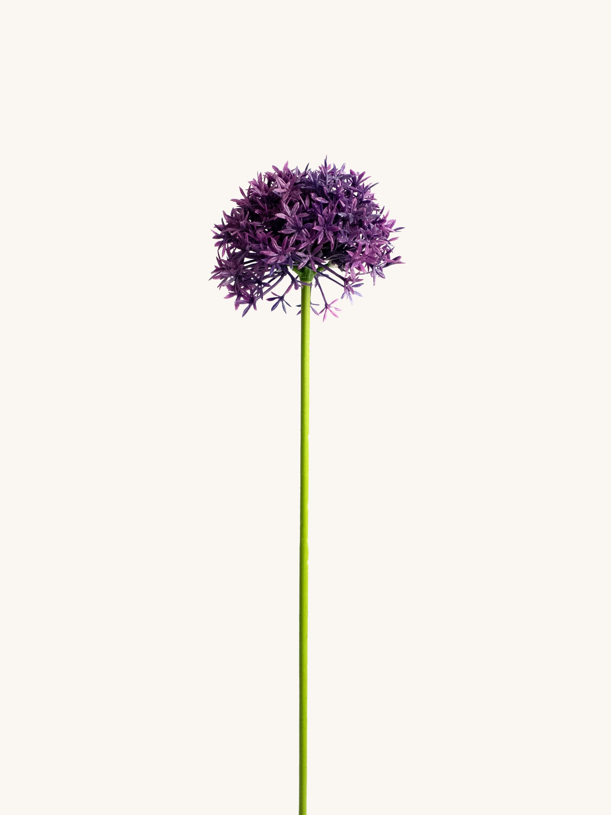 Dark Purple Artificial Allium Wildflower - 24.5"
