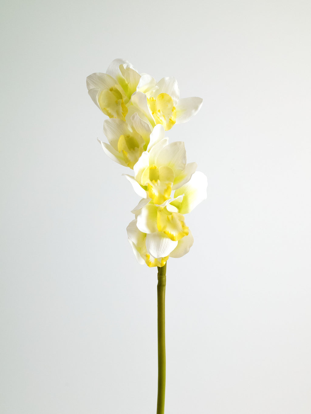 Cream-White Artificial Cymbidium Orchid - 27"