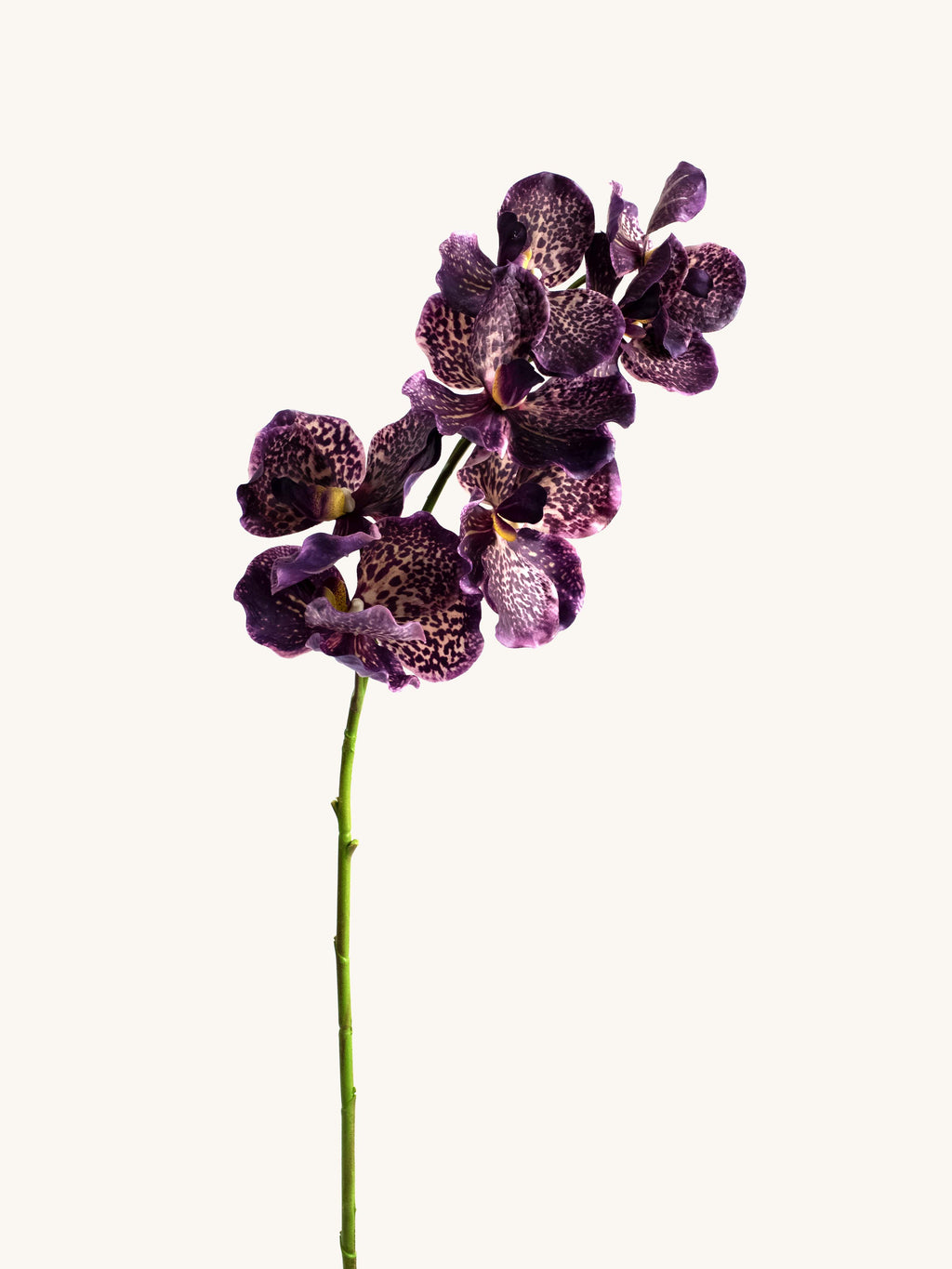 Purple Leopard Real-Touch Faux Vanda Orchid - 31.5"