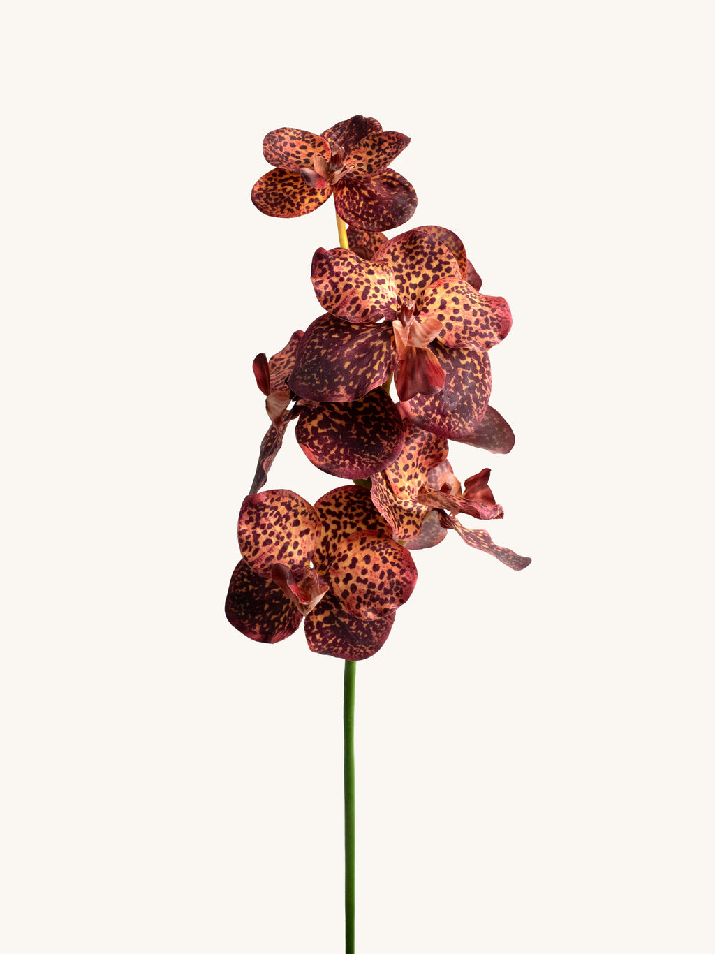 Brown Leopard Real-Touch Artificial Vanda Orchid - 22"