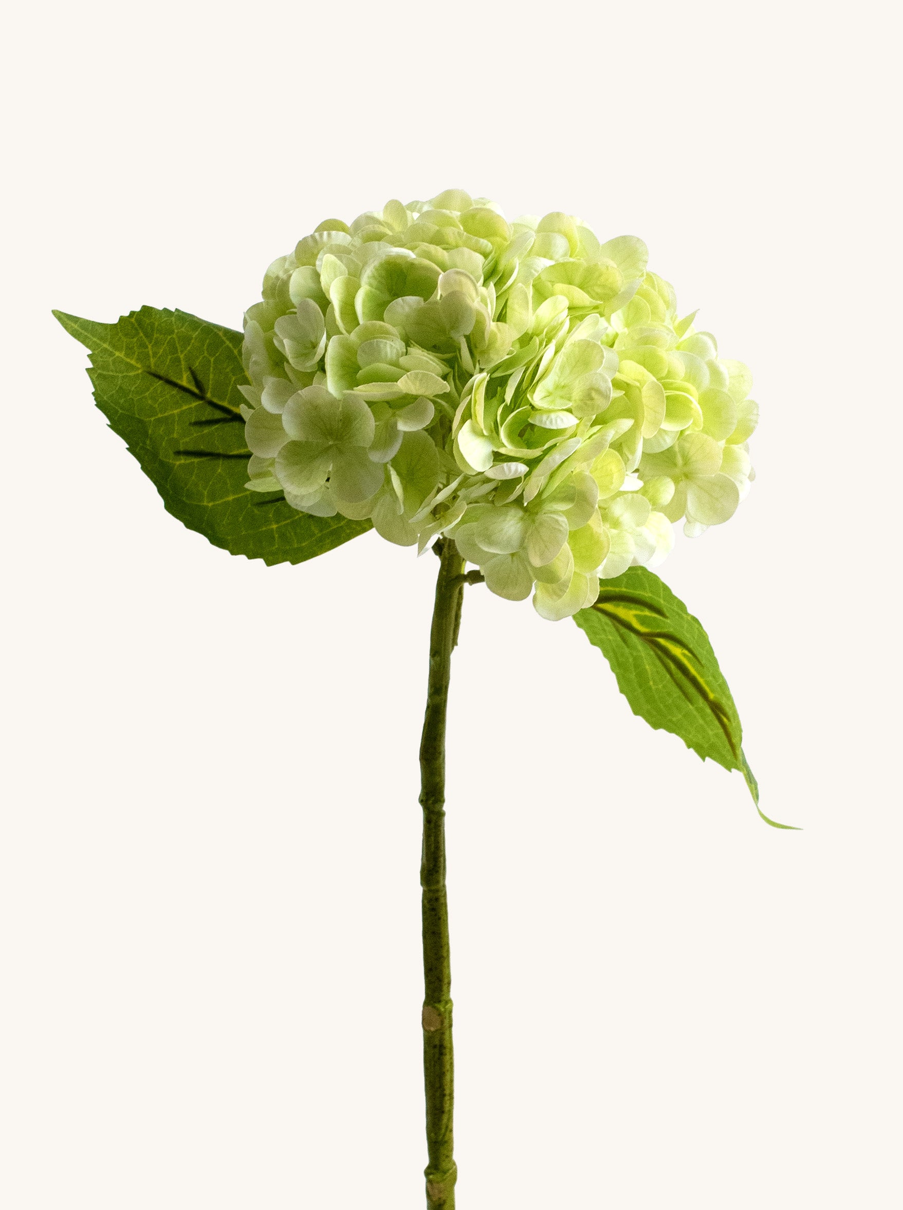 Light Green Real-Touch Faux Hydrangea Flower - 19"