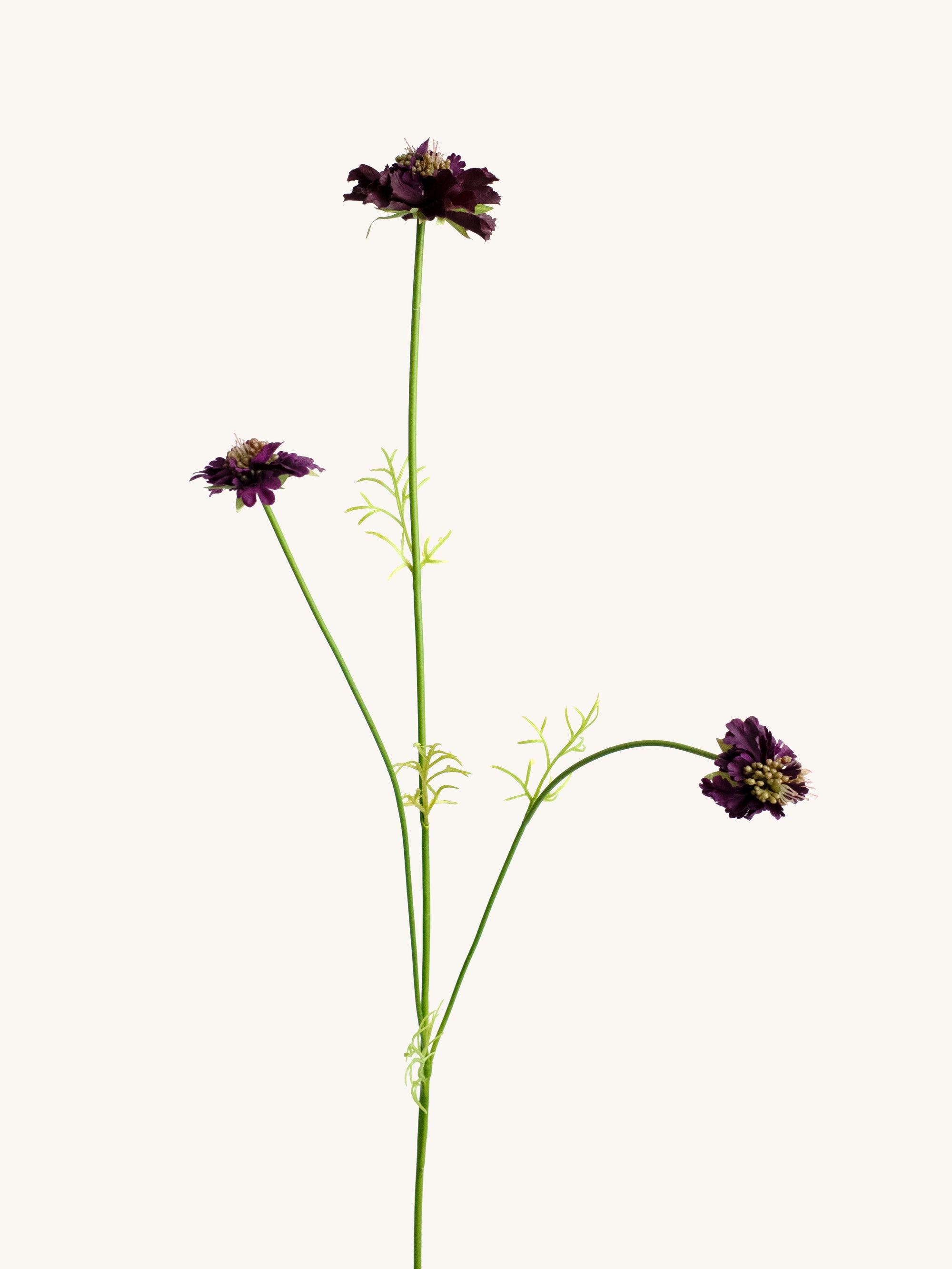 Burgundy Artificial Scabiosa Flower Stem - 31"