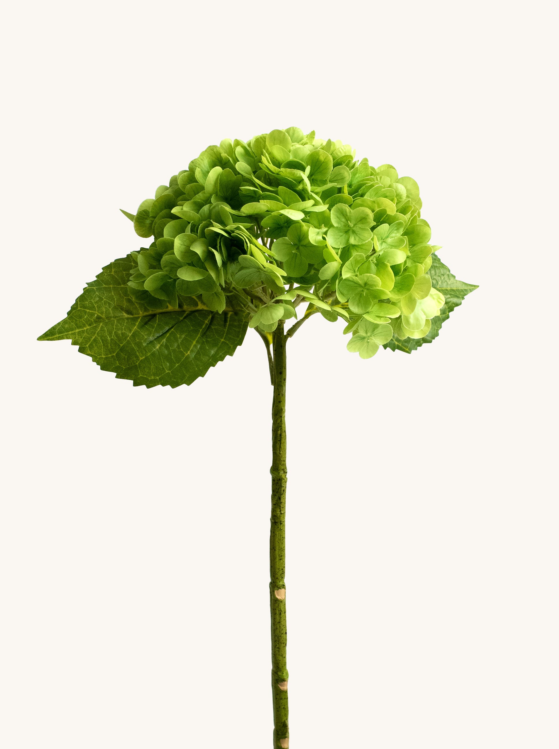 Green Real-Touch Faux Hydrangea Flower - 19"