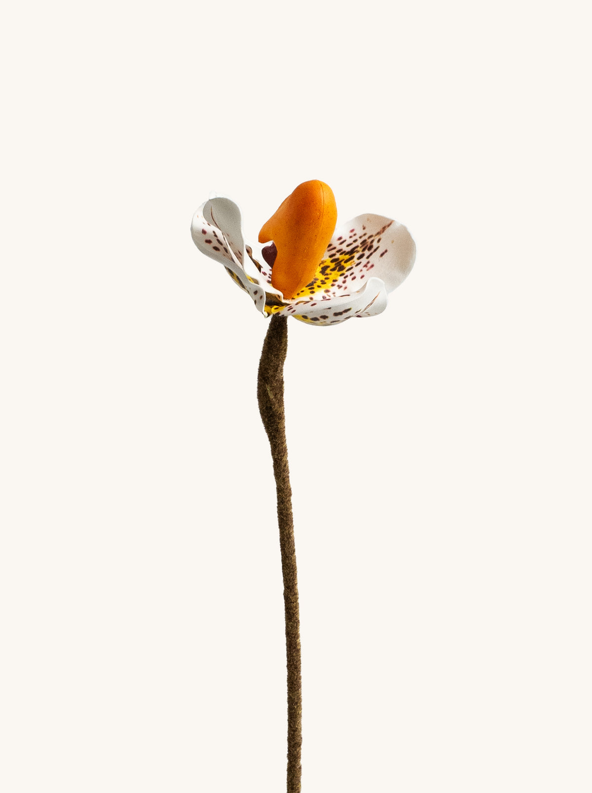 Faux Leopard Lady's Slipper Orchid- 19.5“