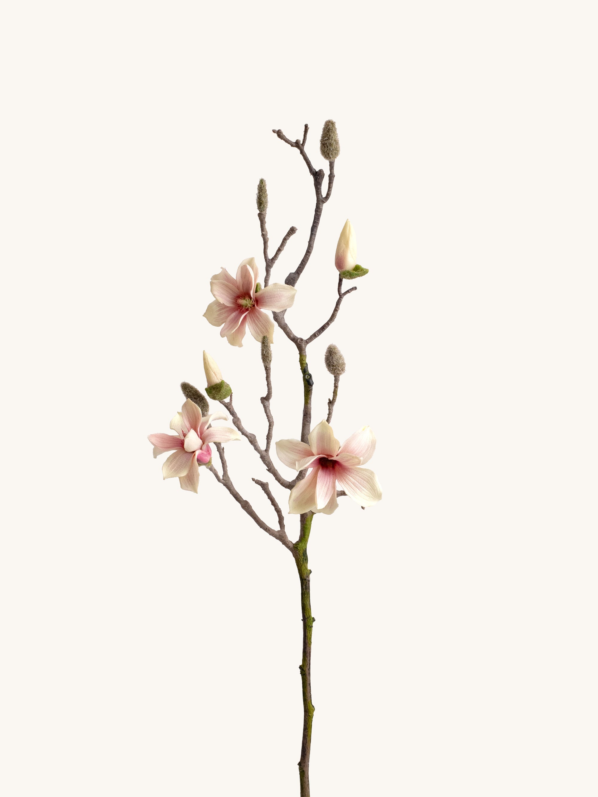 Blush White Faux Magnolia Branch - 28.5"