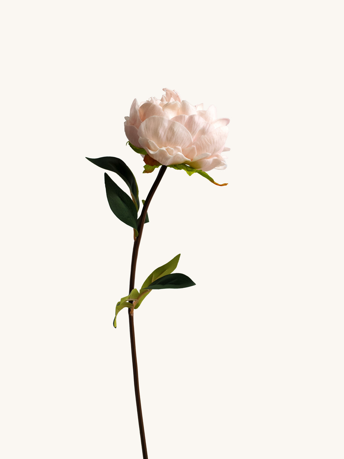 Blush Pink Faux Peony - 20.5"
