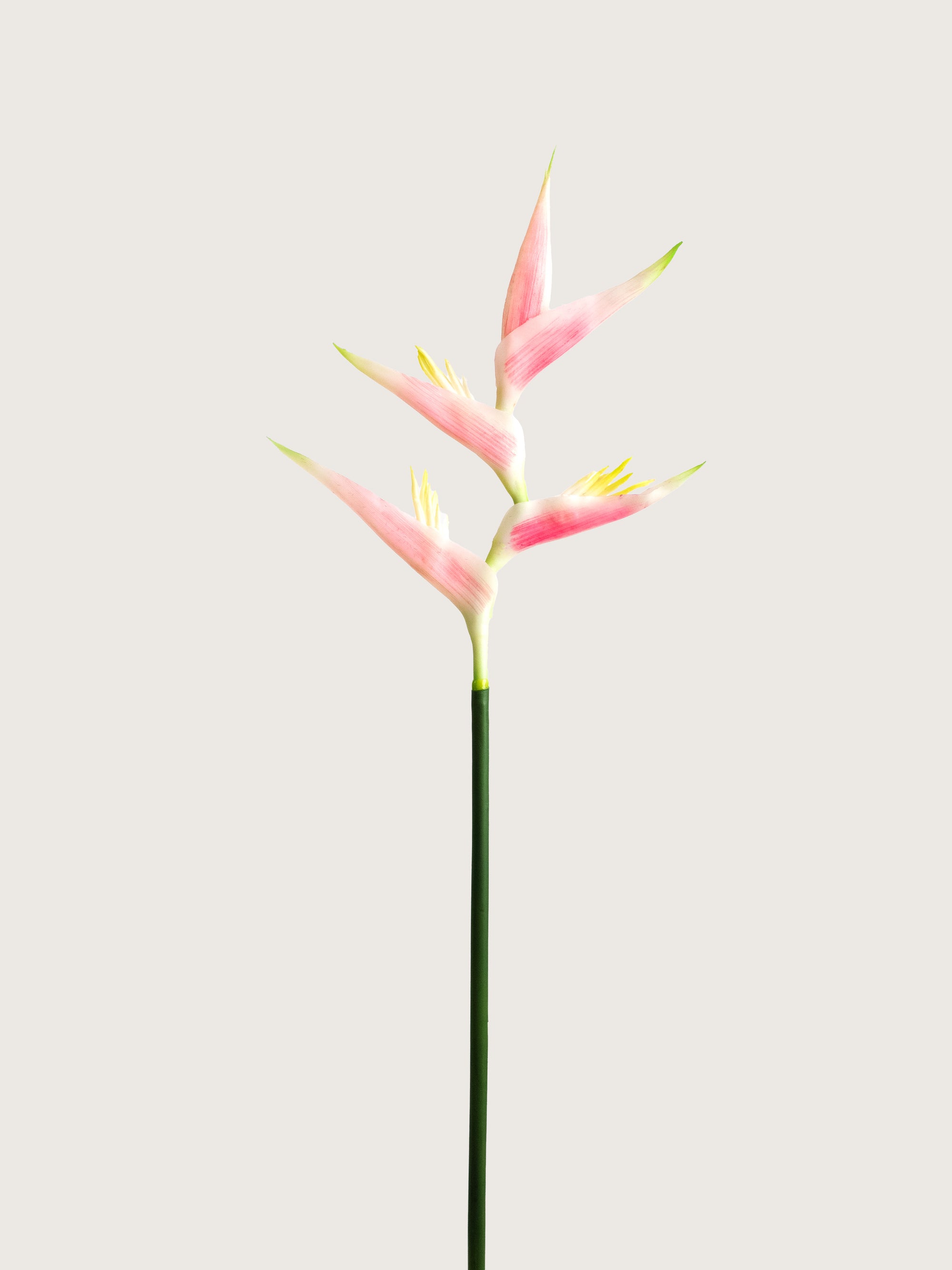 Pink Artificial Heliconia Flower - 29"