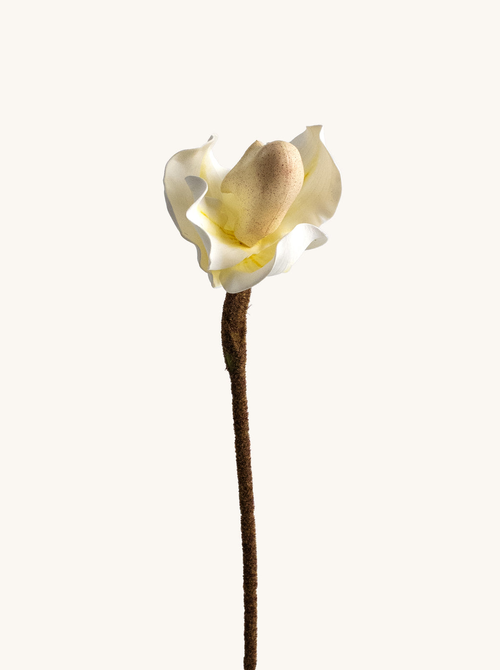 Creamy White Faux Lady's Slipper Orchid - 19.5“