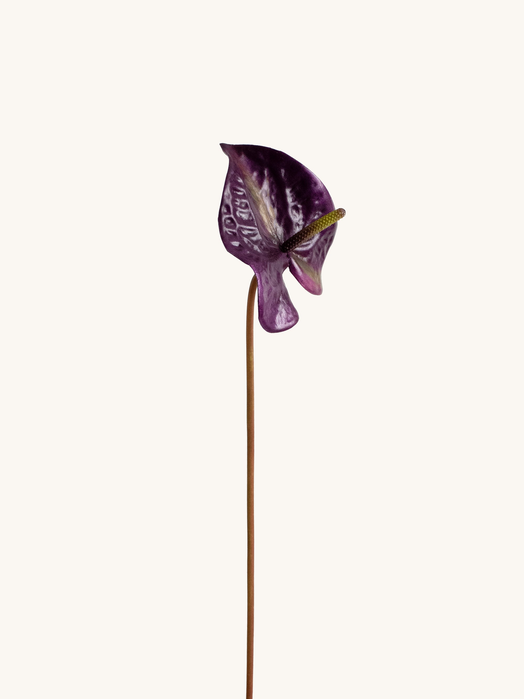 Purple Artificial Tropical Anthurium - 23"