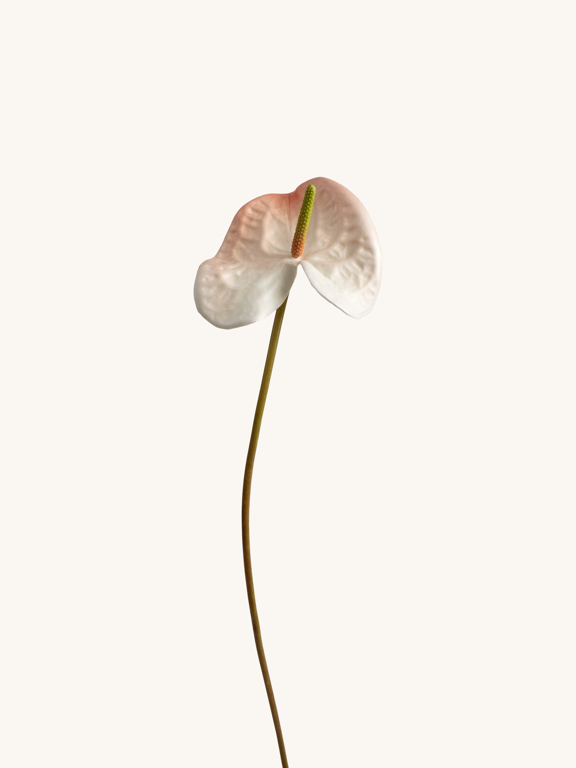 Pink-White Artificial Tropical Anthurium - 23"