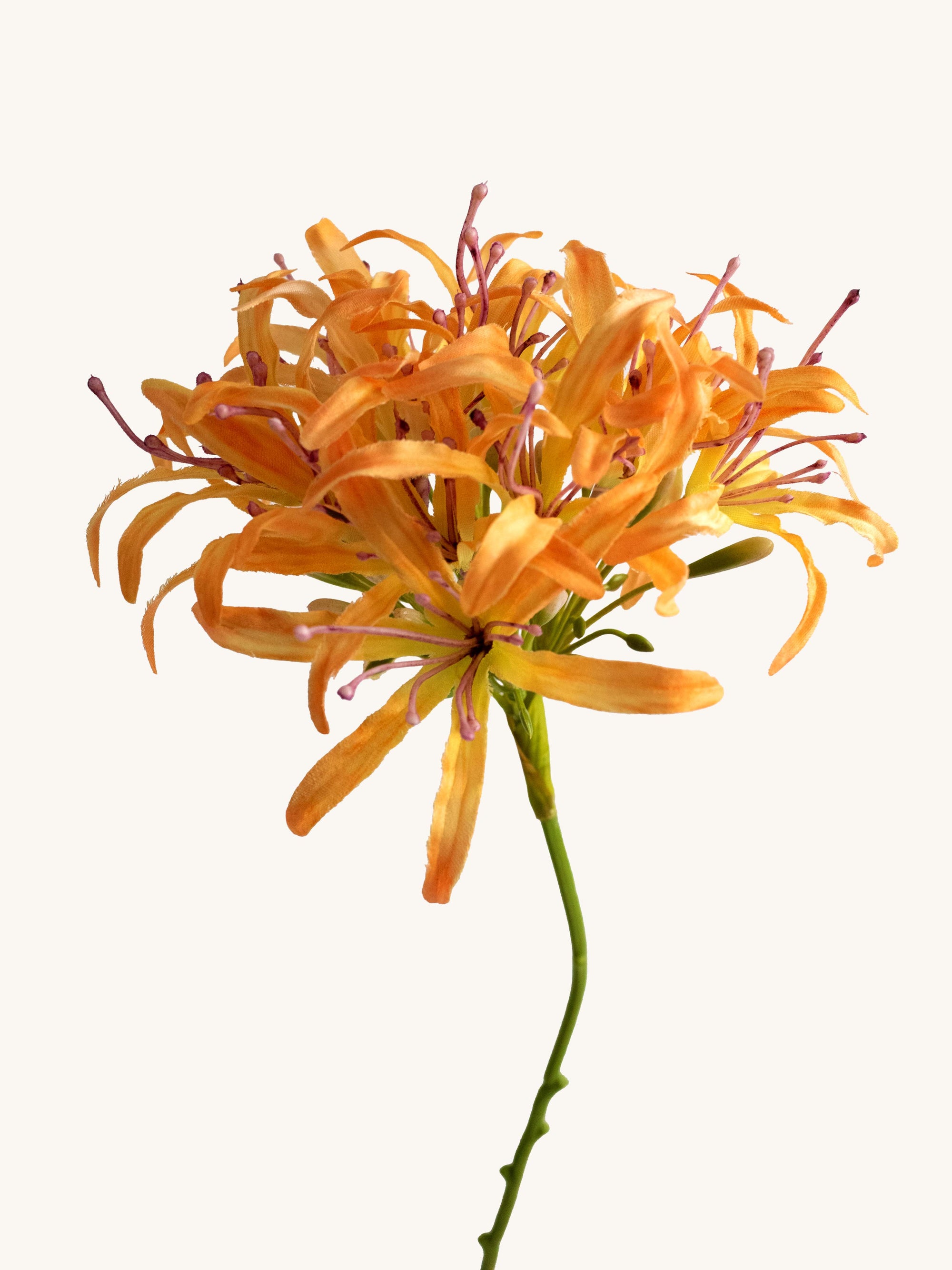 Orange Faux Spider Lily - 31"