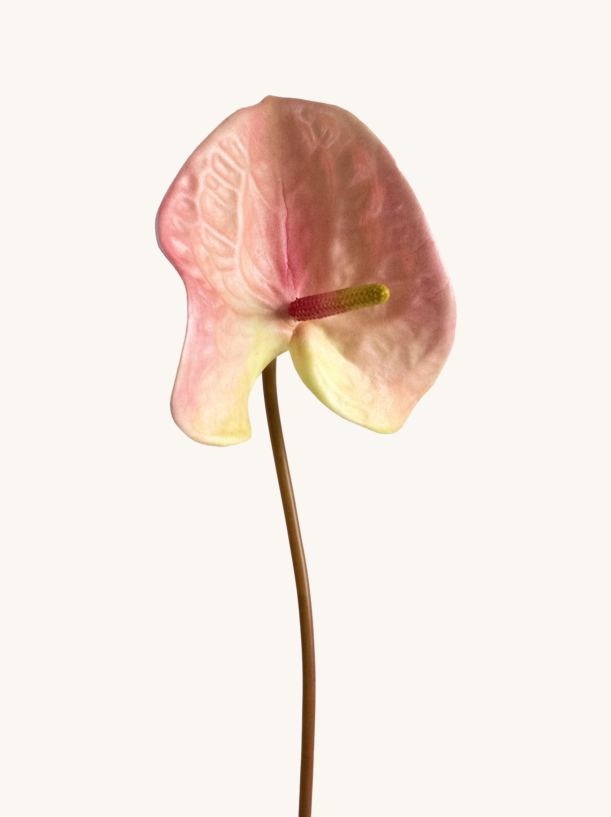 Pink Artificial Tropical Anthurium - 23"