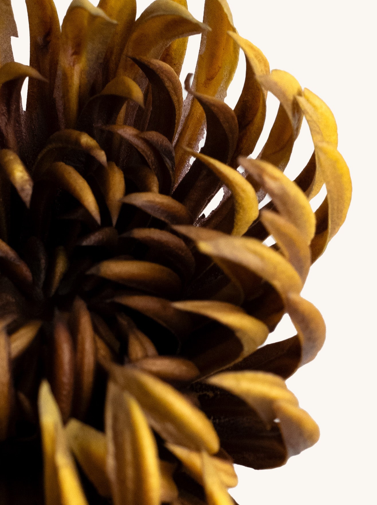 Brown Artificial Chrysanthemum - 23.5"