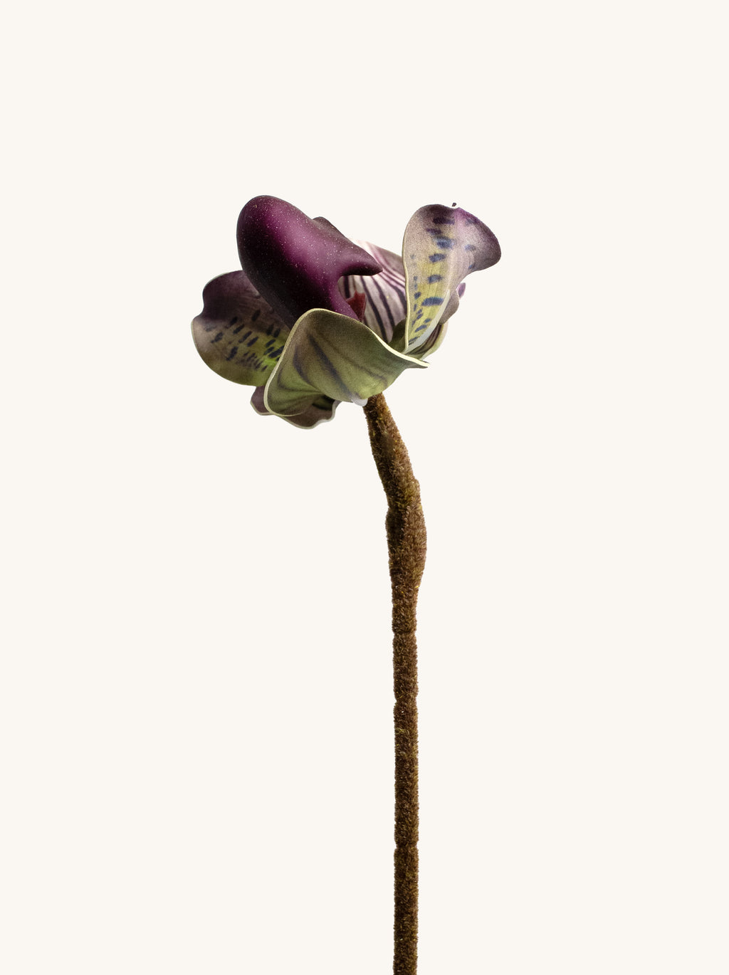 Purple Enchanted Faux Lady's Slipper Orchid - 19.5“
