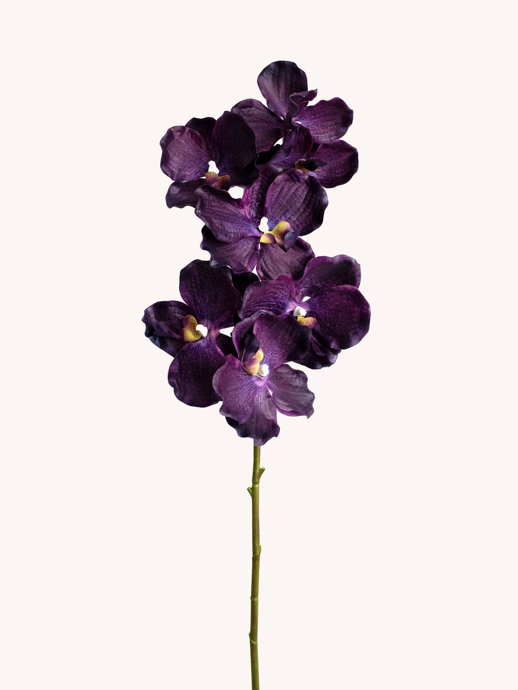 Black Purple Real-Touch Faux Vanda Orchid - 31.5"