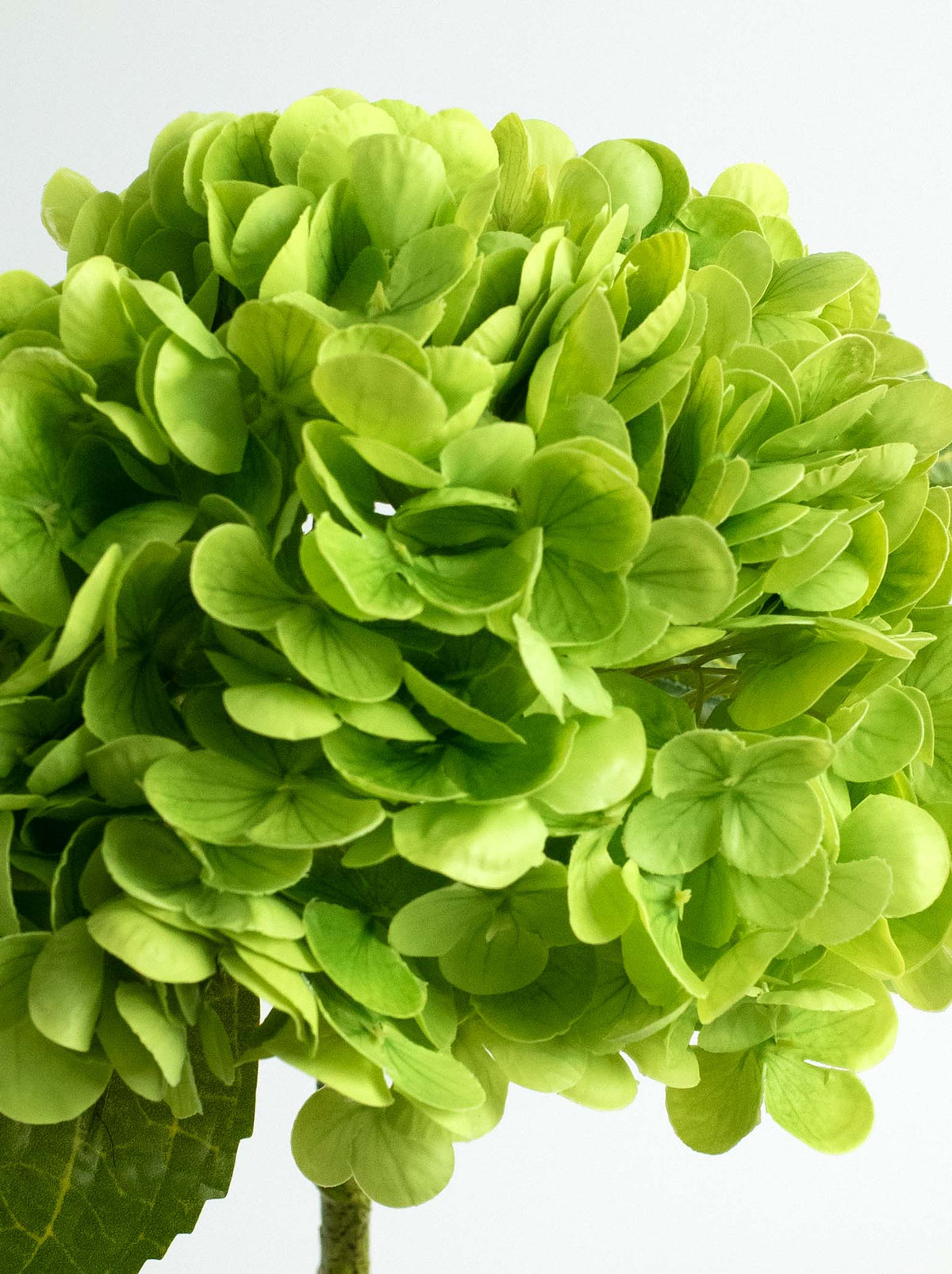 Green Real-Touch Faux Hydrangea Flower - 19"