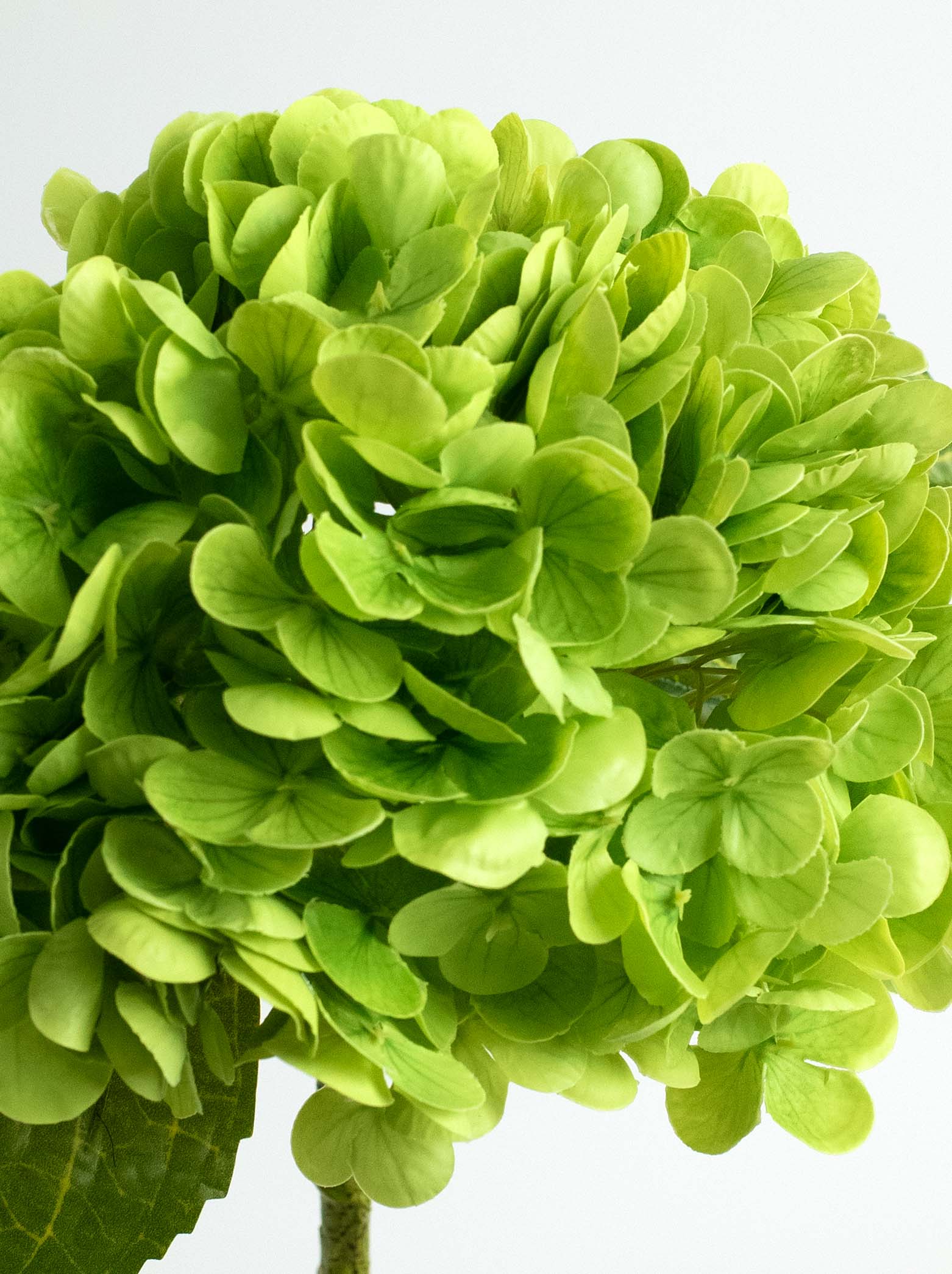 Green Real-Touch Faux Hydrangea Flower - 19"