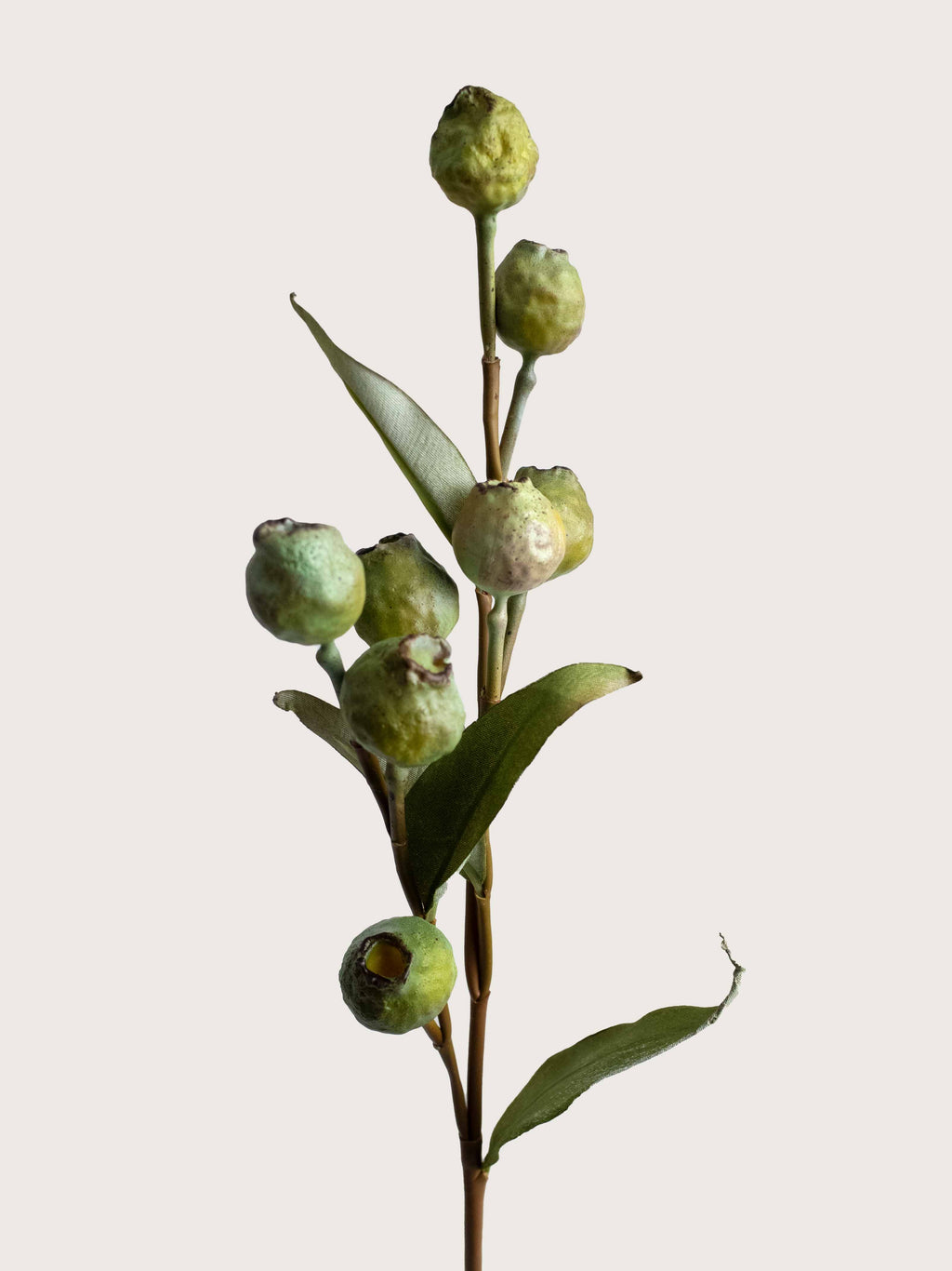Yellow-Green Faux Eucalyptus Pods - 23.5"