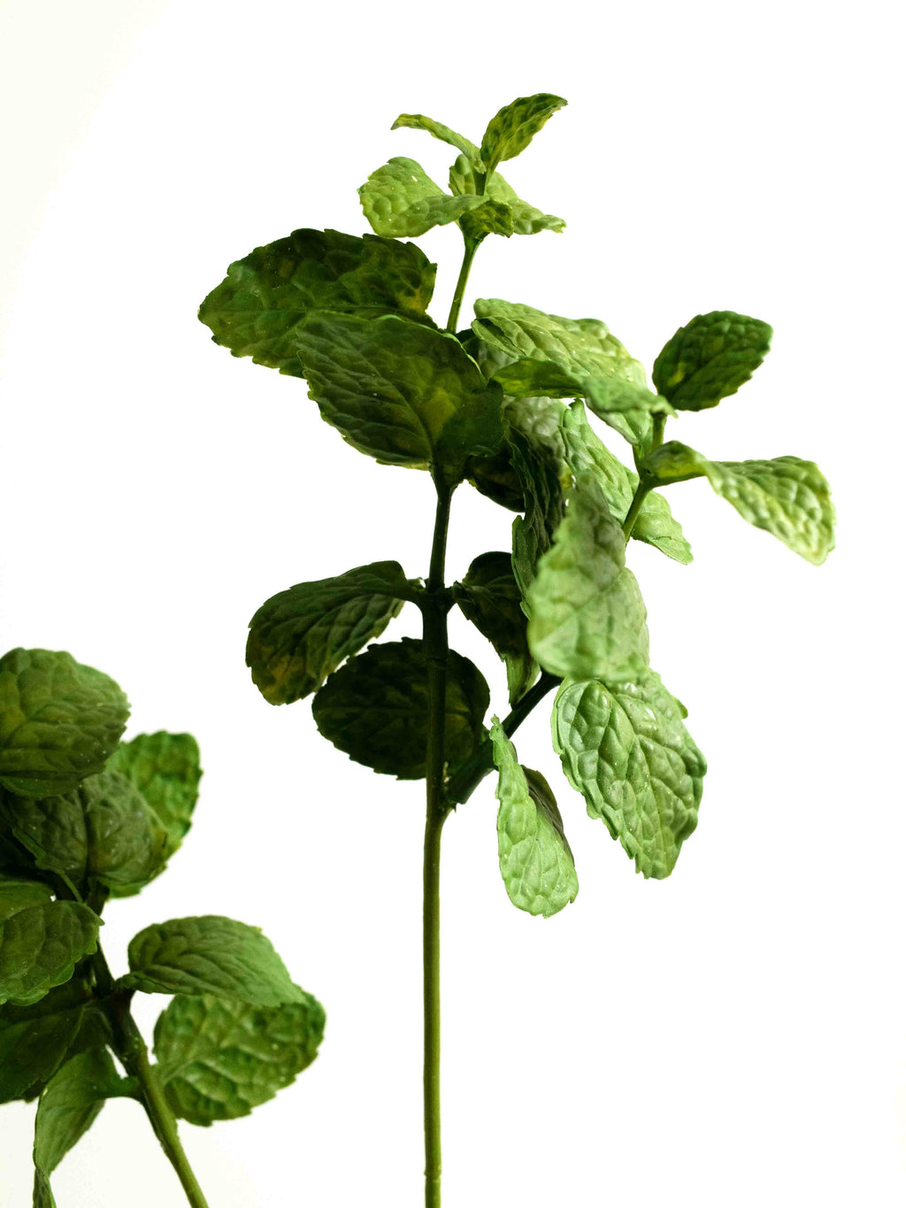 Artificial Green Mint Stem - 20"