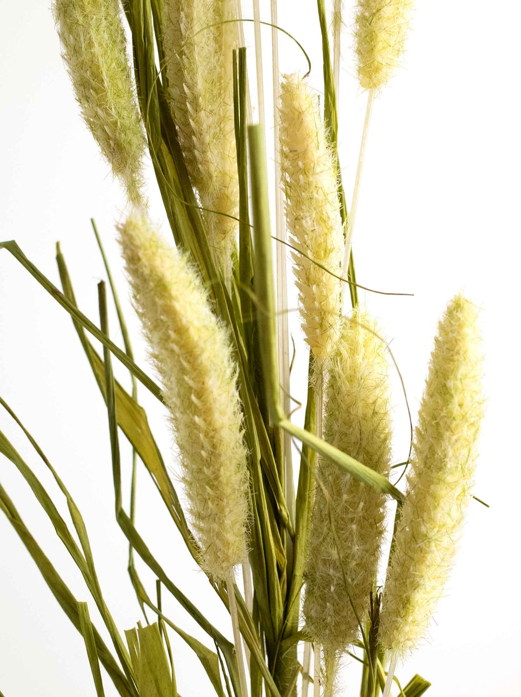 Green Artificial Foxtail Grass - 31"