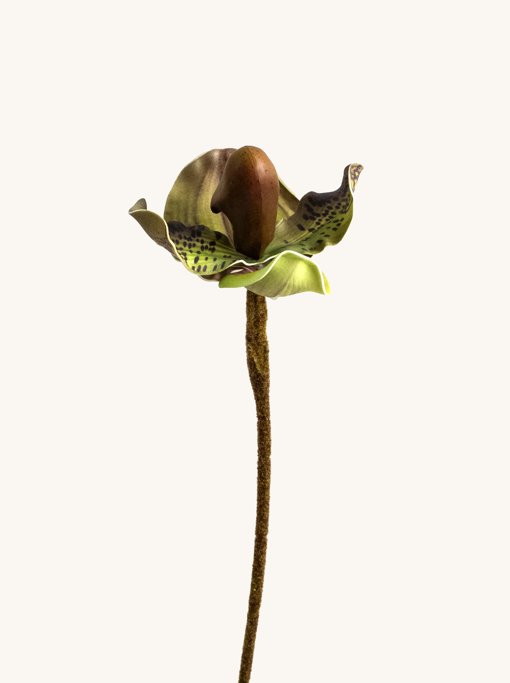 Faux Green Butterfly Lady’s Slipper Orchid - 19.5“